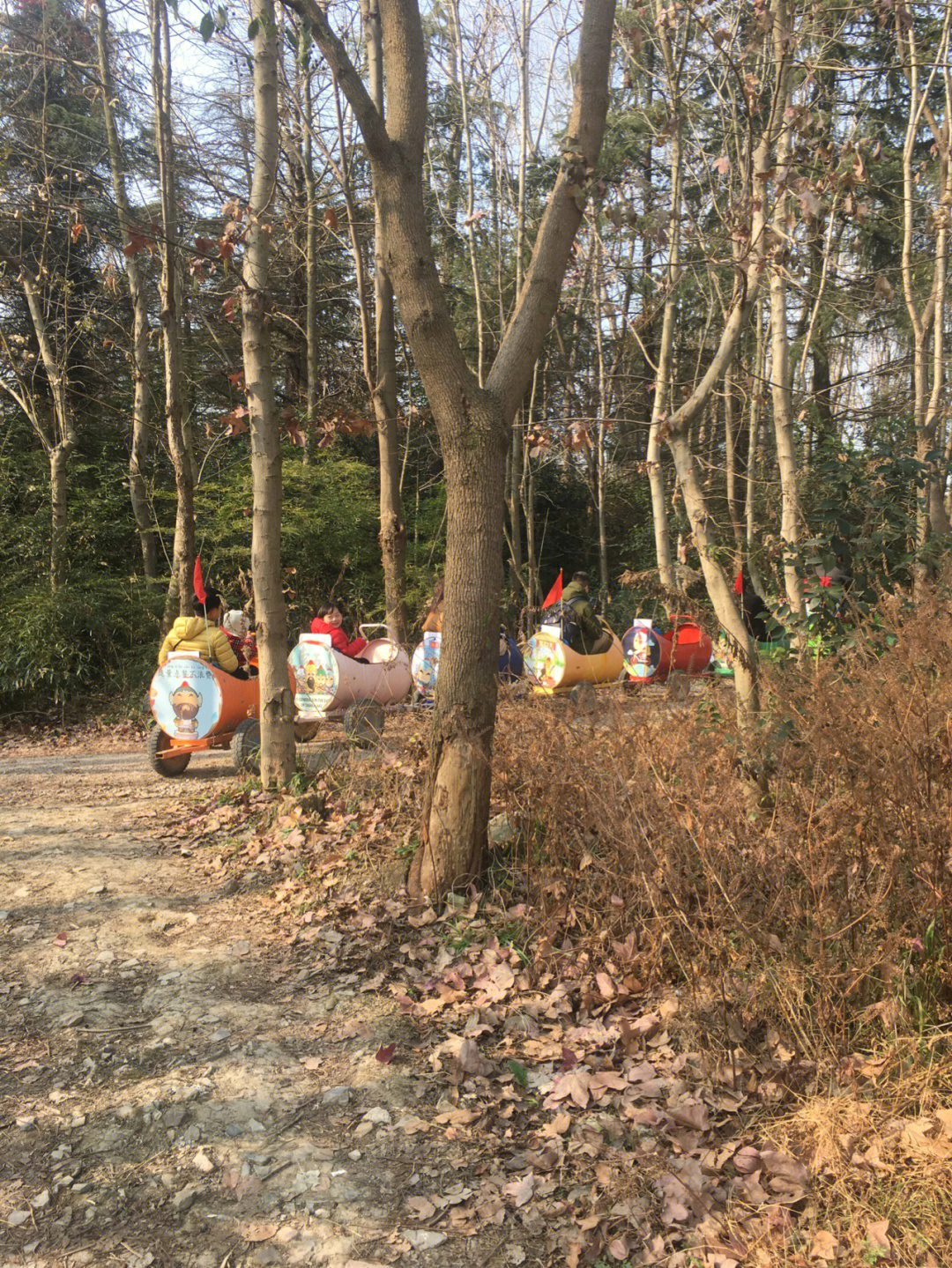 临湖镇黄墅村图片