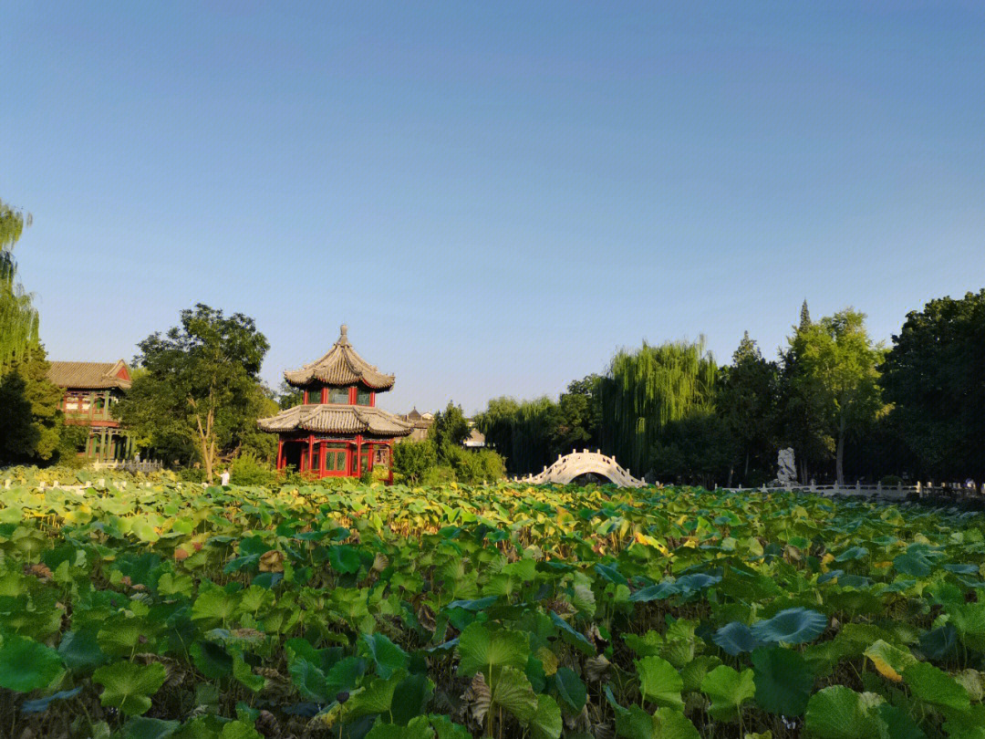 保定古莲花池3a景区