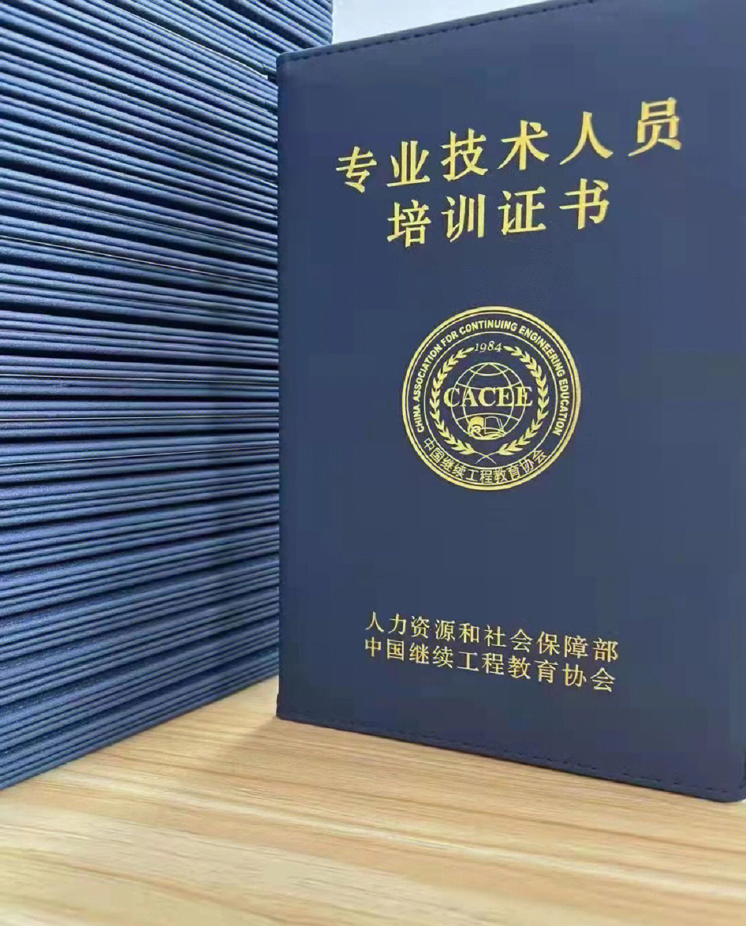 人社部中国继续工程教育协会