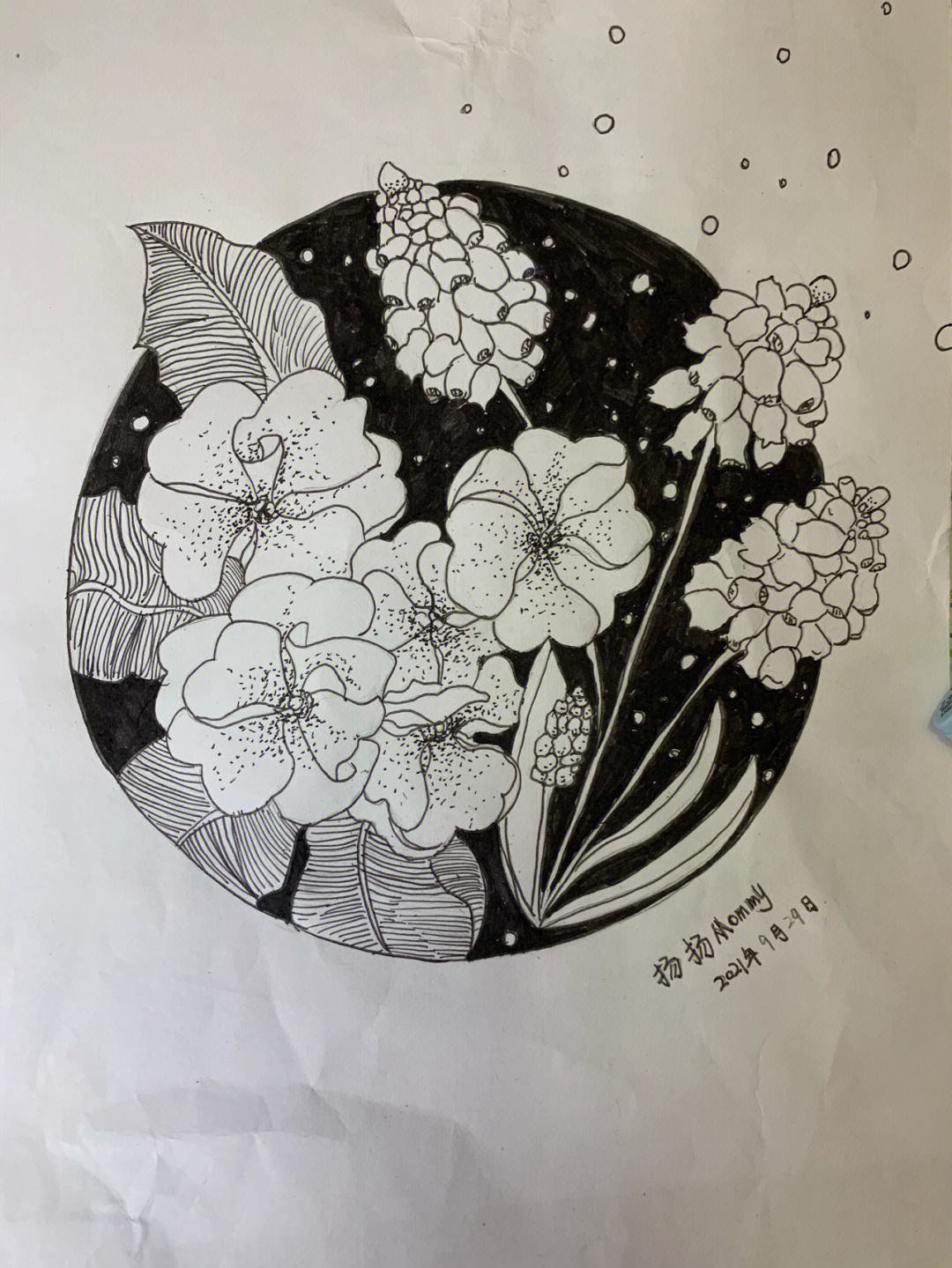 幼儿园花朵线描画图片