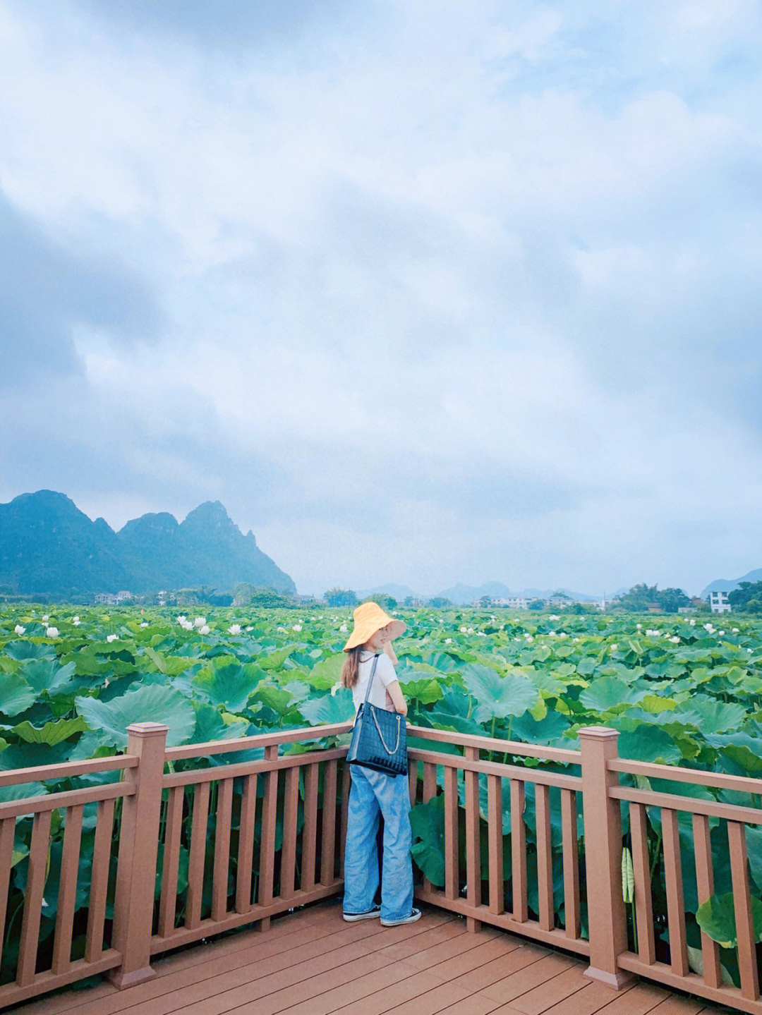 柳州周边百朋莲花小镇