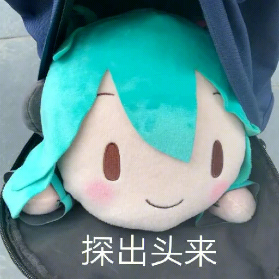 初音毛绒玩偶表情包图片