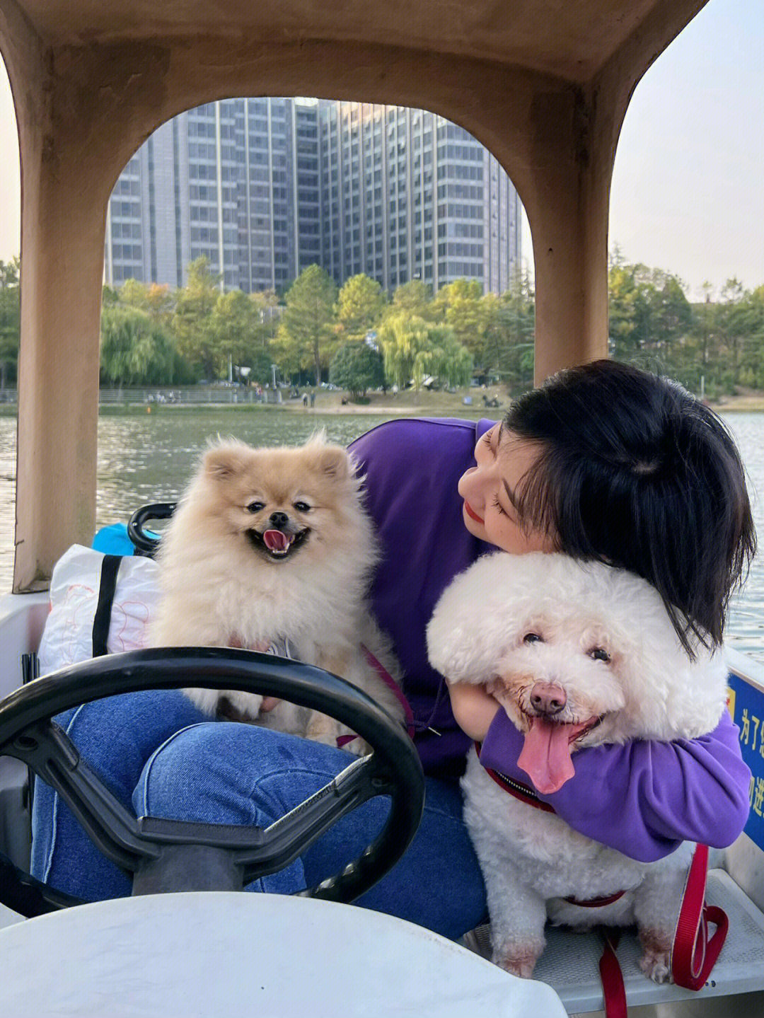 上海宠物友好公园带狗狗去划船和野餐吧