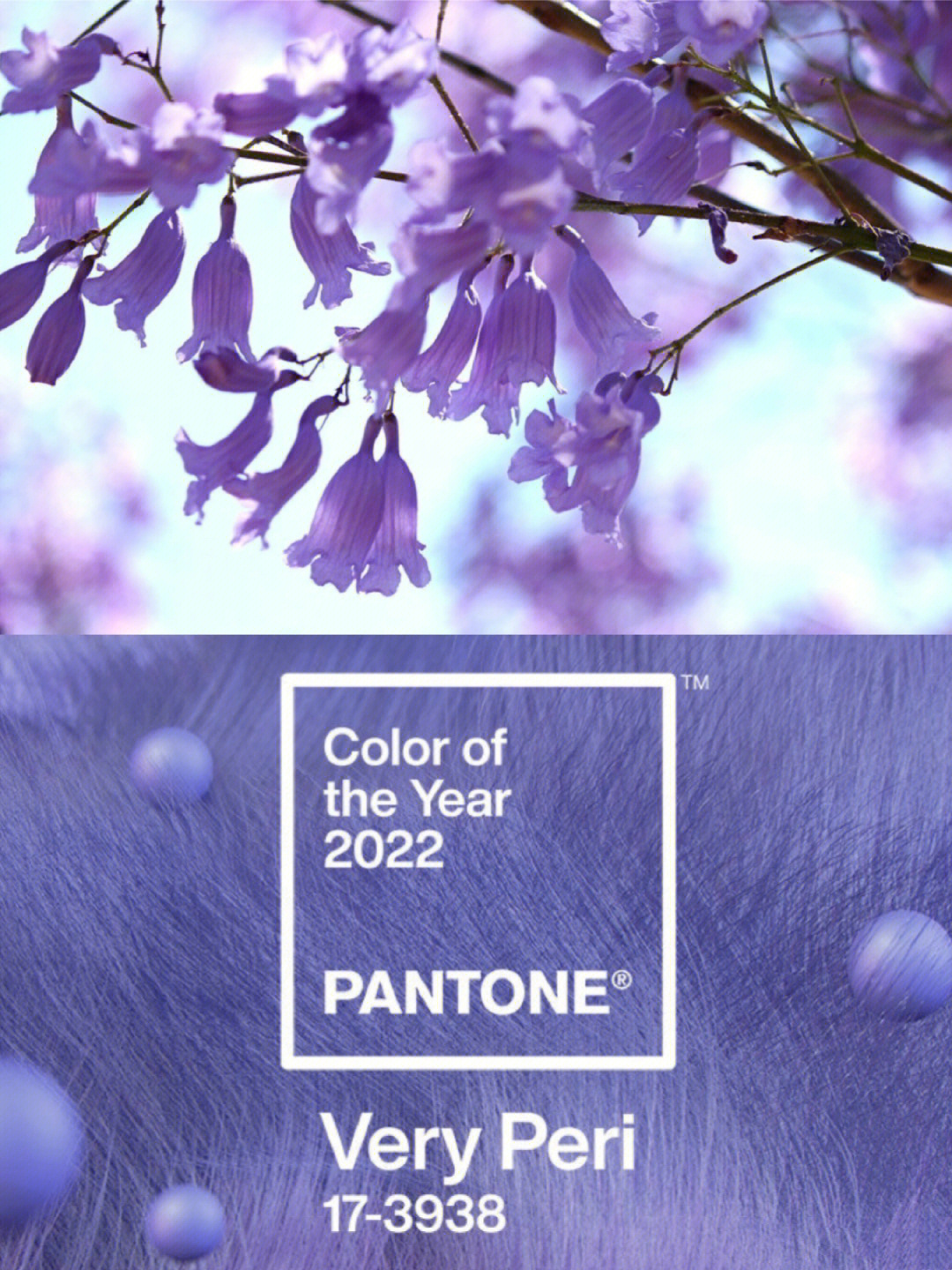 2022pantone年度代表色长春花蓝