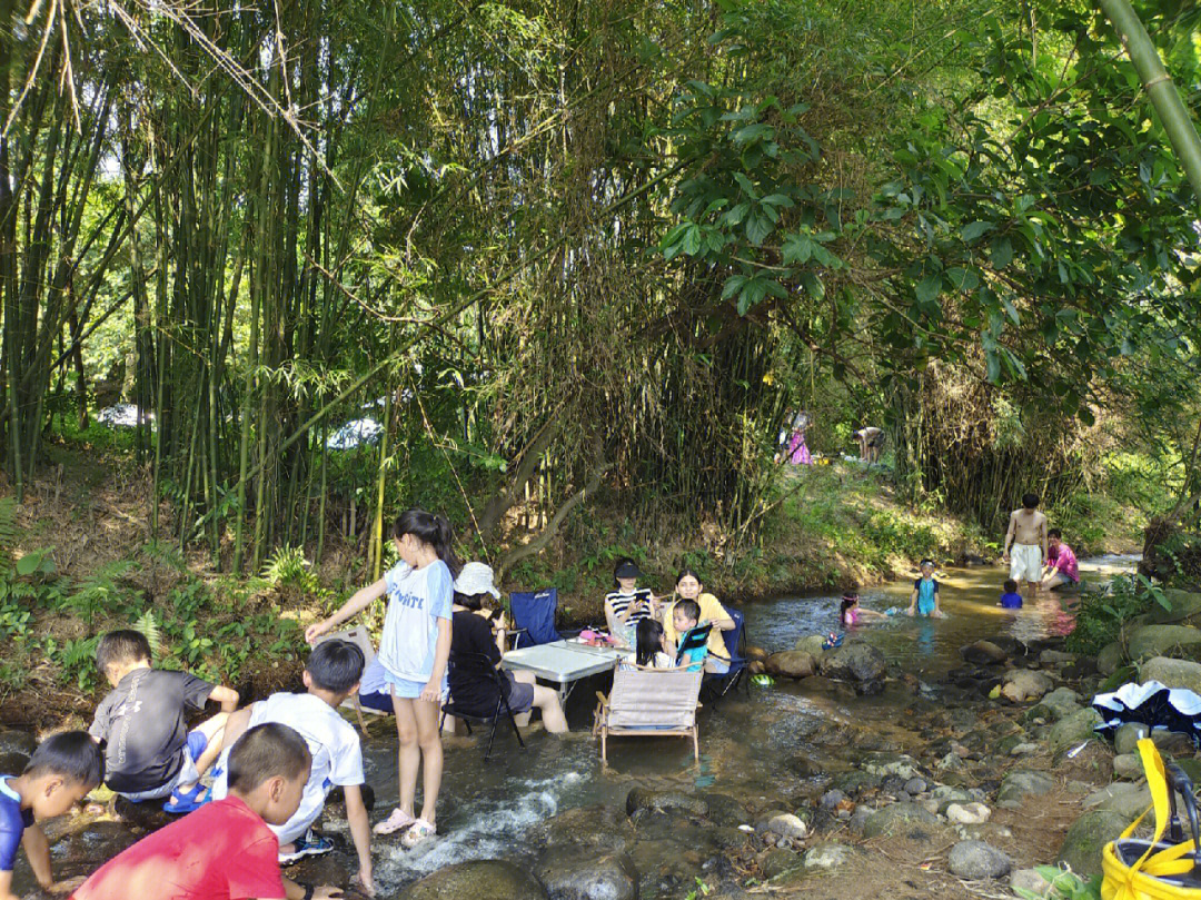 福田中学泼水节图片