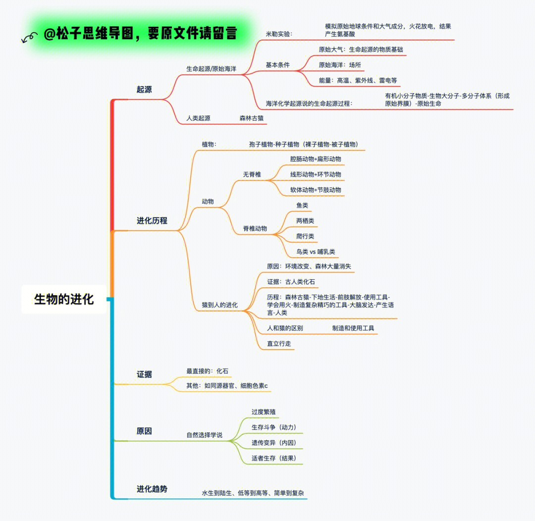 初中生物思维导图生物系统