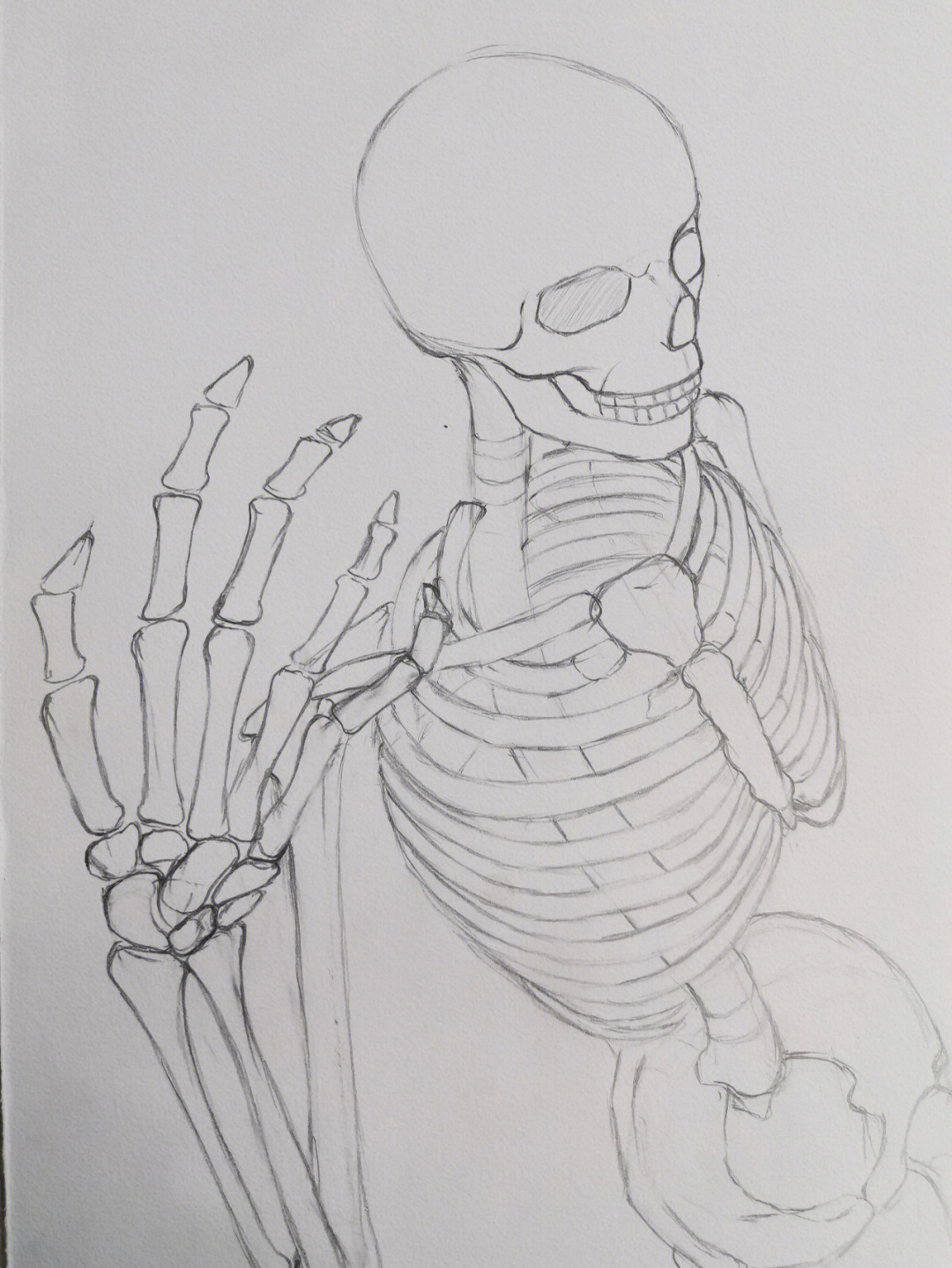 人骨头画法图片