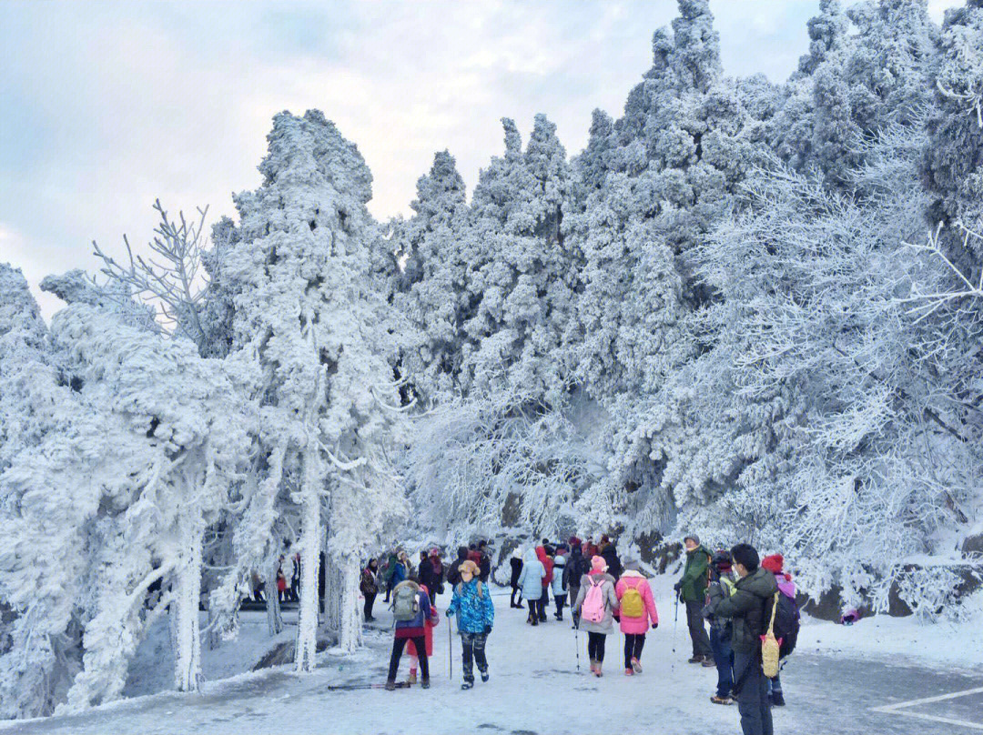 南岳衡山雾凇来了新年登祝融峰顶祈福许愿