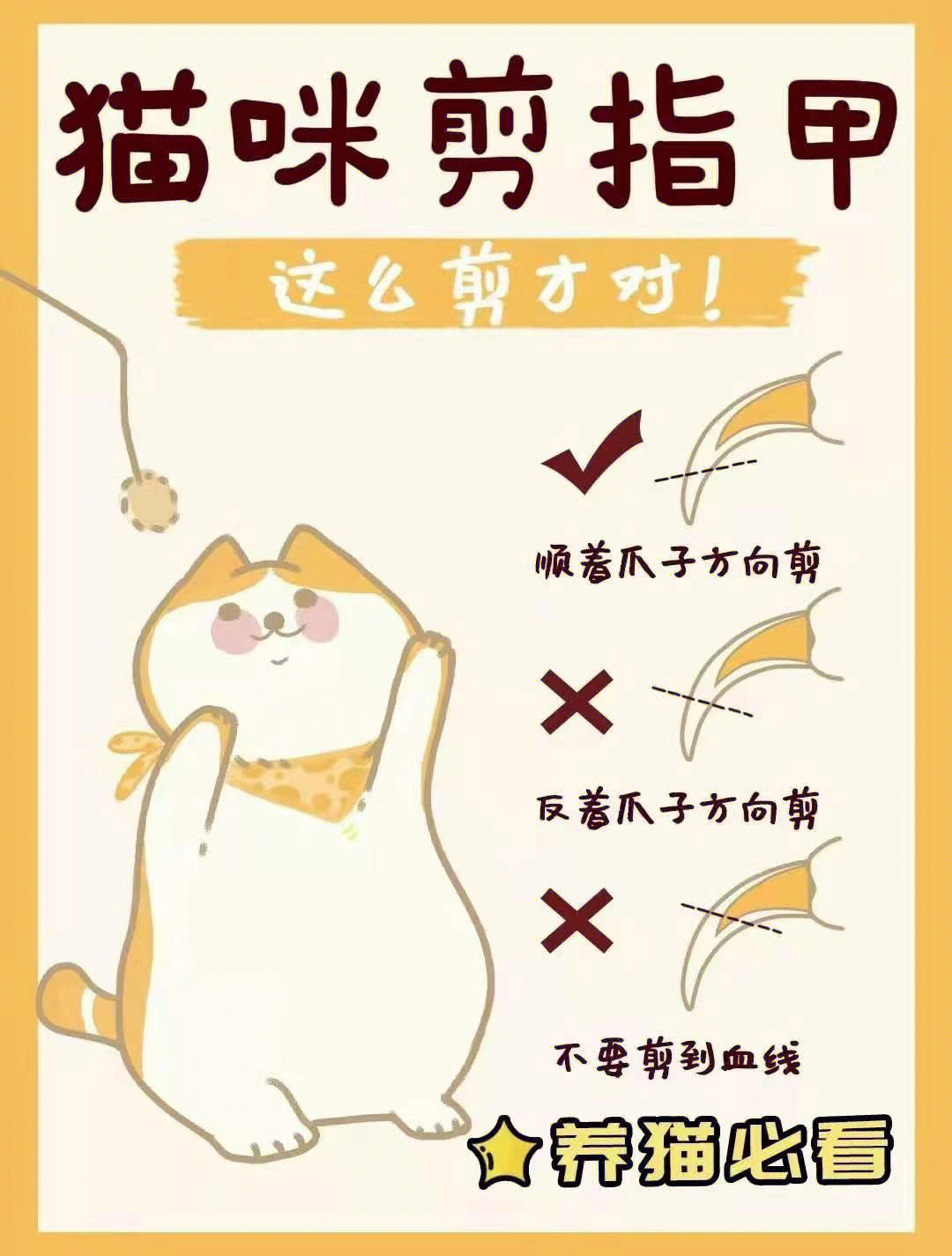 猫剪指甲刀怎么用图解图片