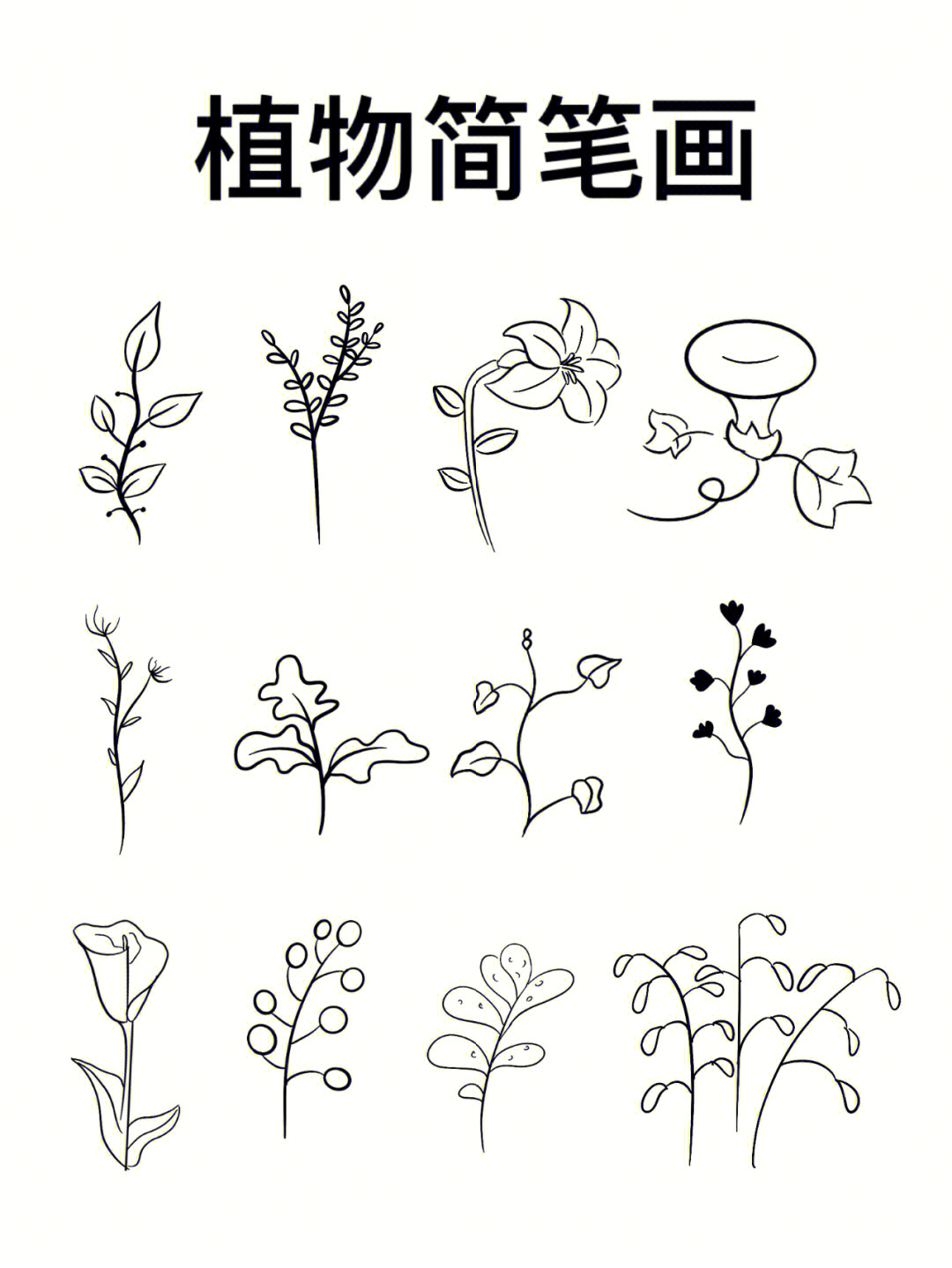 五种植物简笔画图片