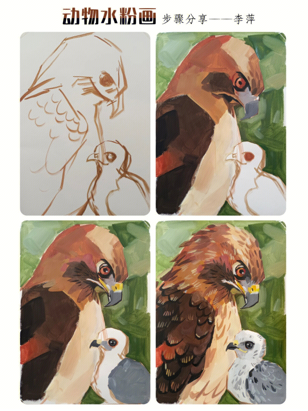 动物水粉画1860苍鹰和宝贝