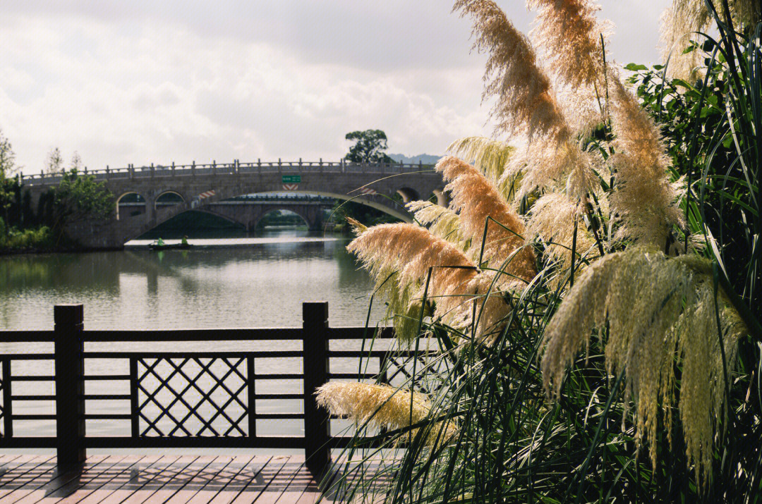 三垟湿地五福源风景图片