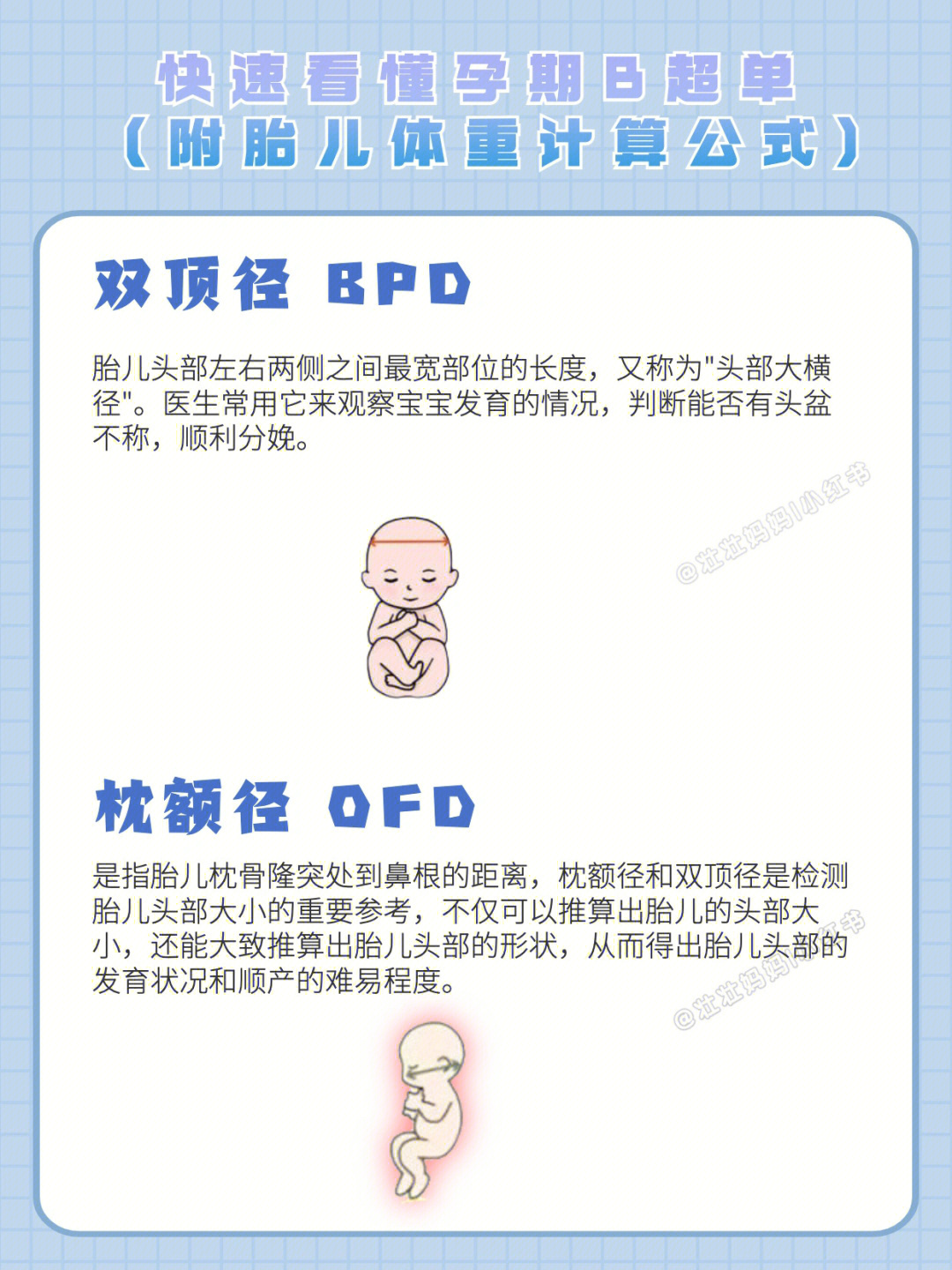 胎儿生长指标BPD图片