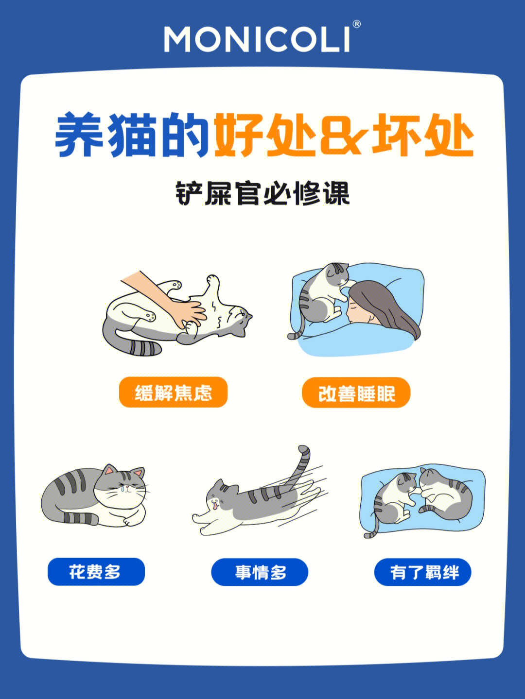 养猫的坏处图片