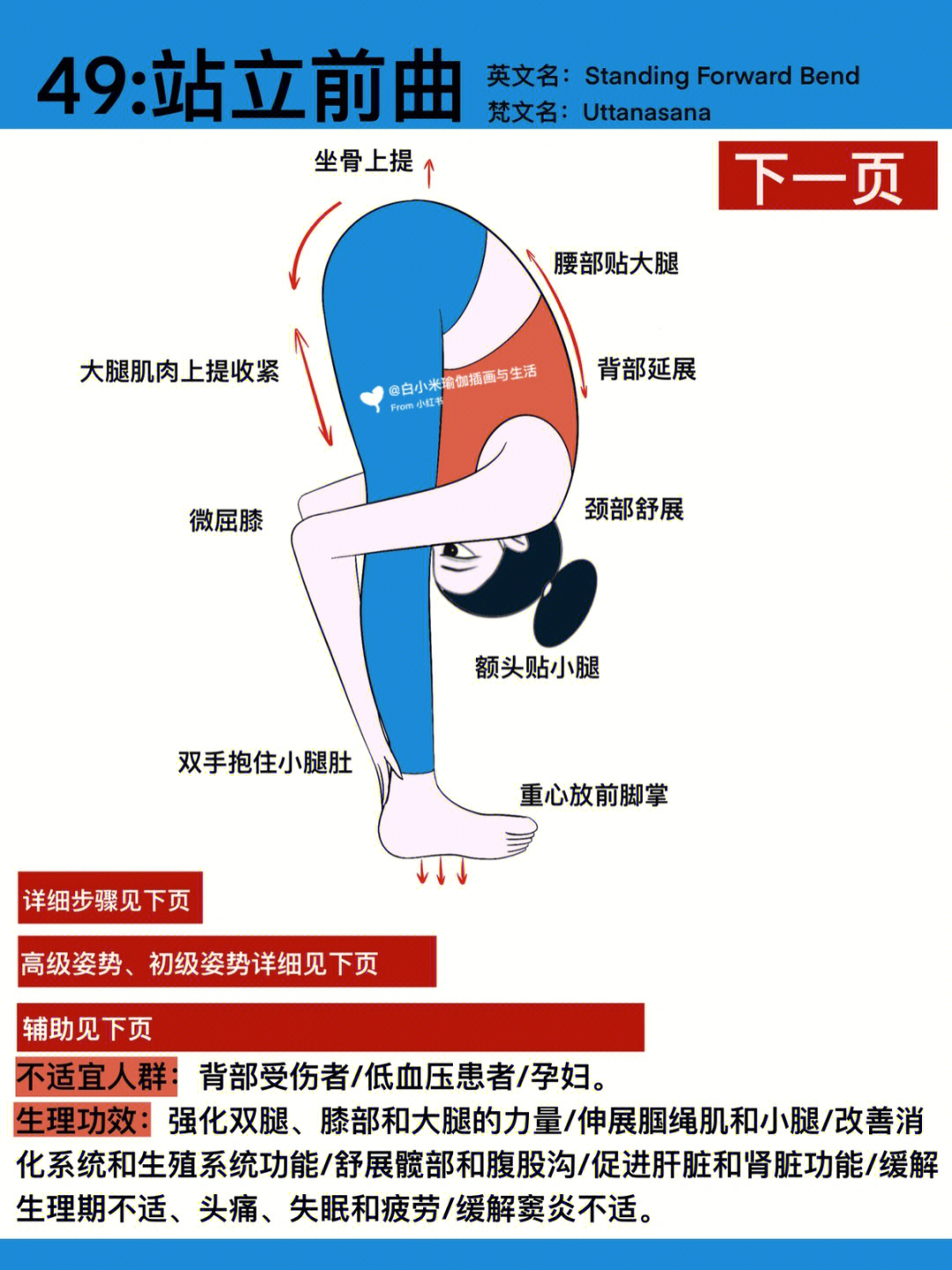 原创插画瑜伽体式讲解超全往后翻