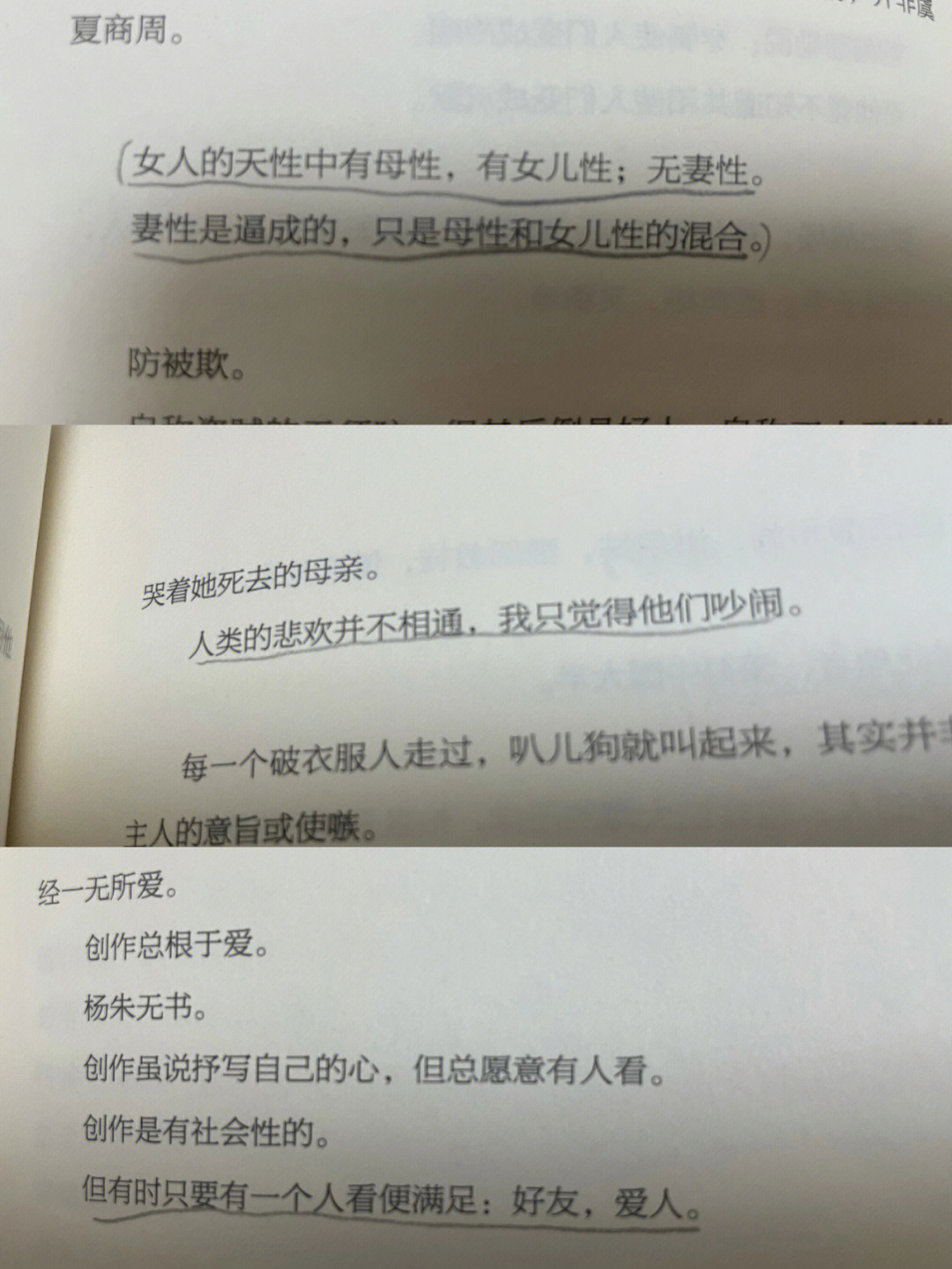 阅读人的悲欢并不相通我只觉得他们吵闹