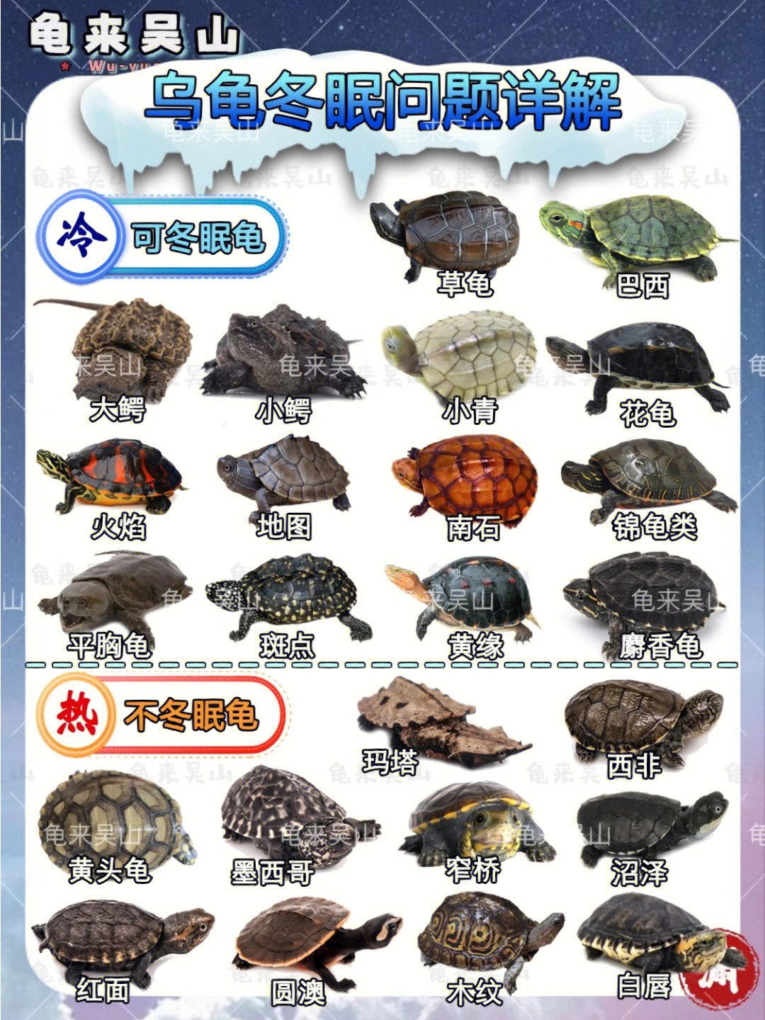 风险大[二r]热带地区没有条件无需冬眠 正常饲养[三r]乌龟生病或体质