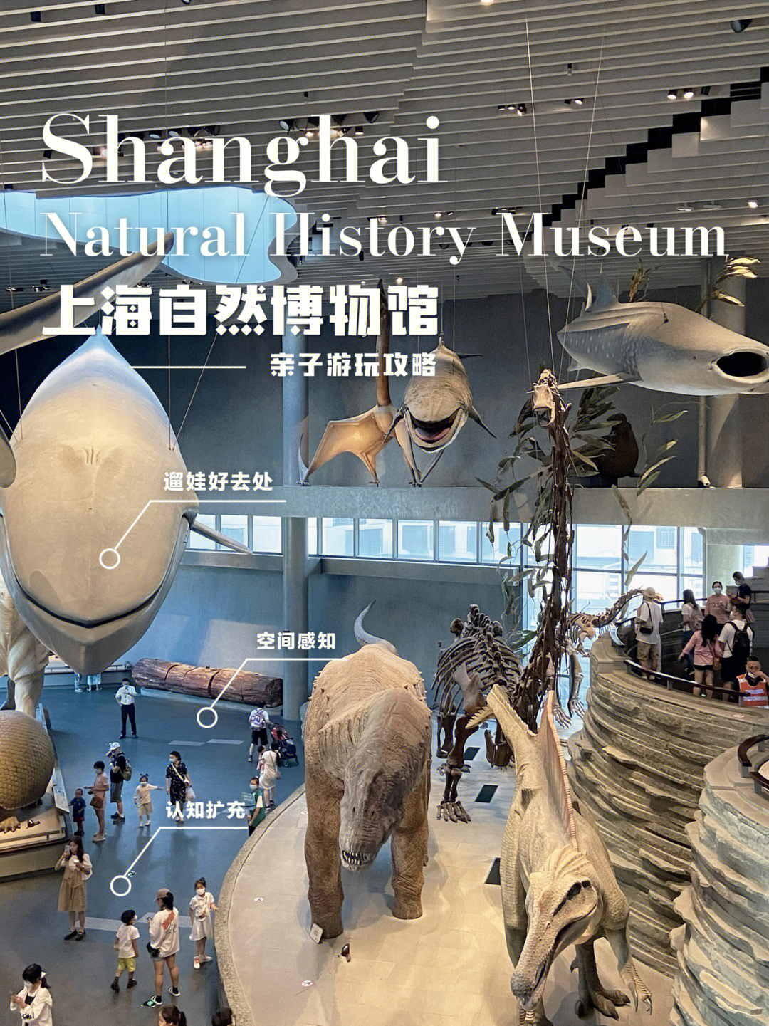 上海遛娃自然博物馆请预约门票