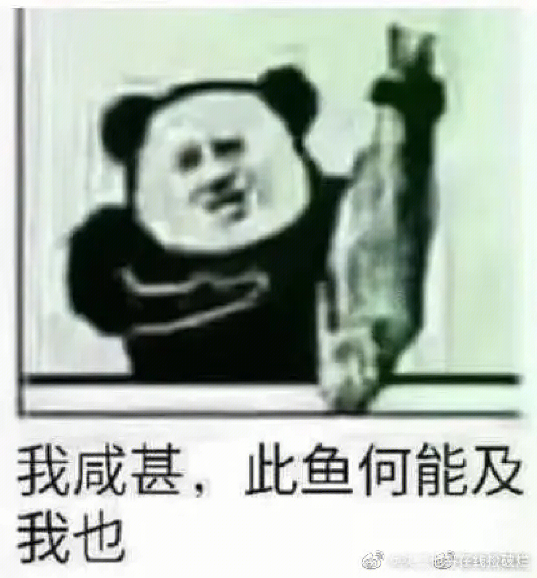 闲鱼表情包我是学生图片