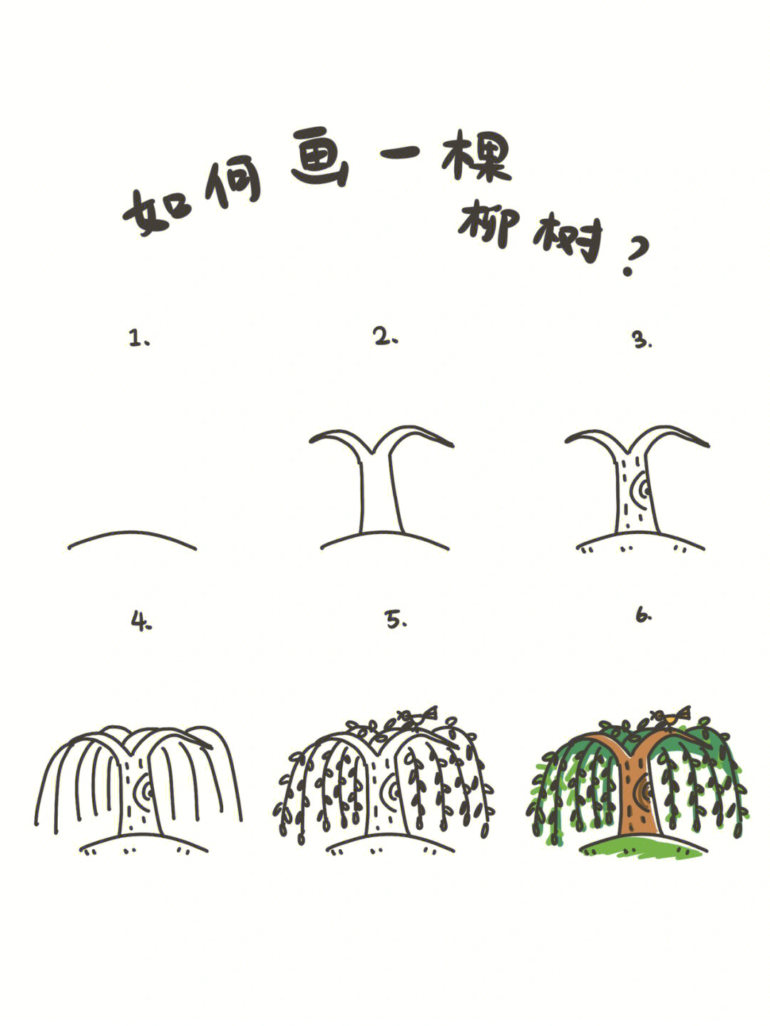 柳树简单画法图片