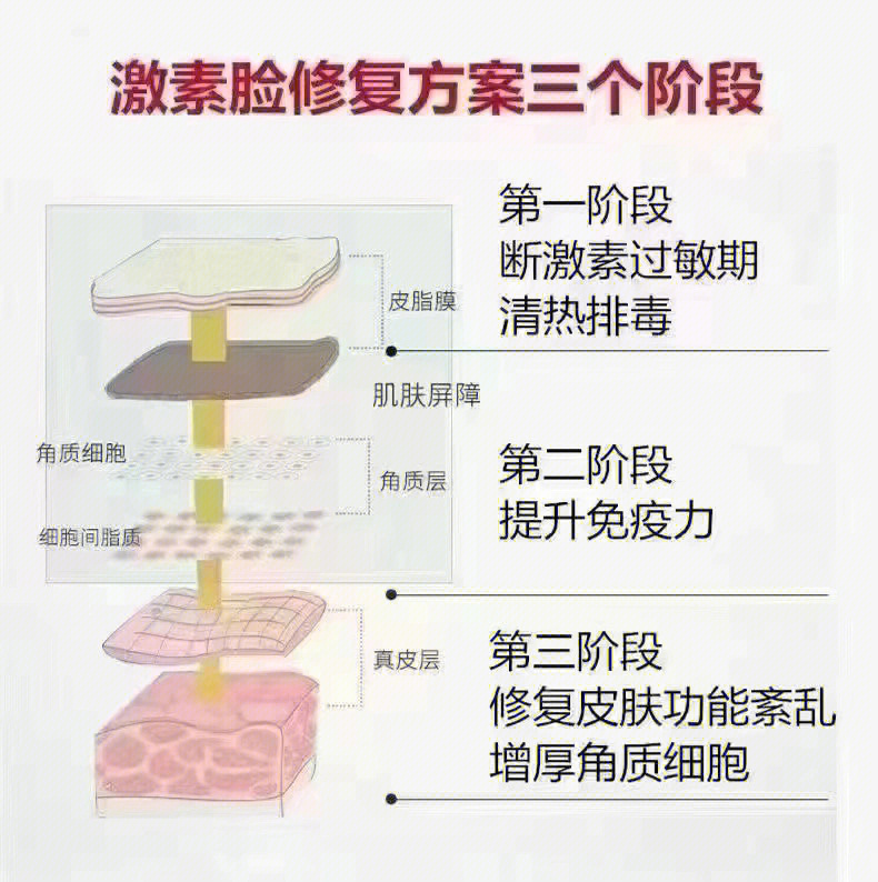 激素脸代谢过程图片图片