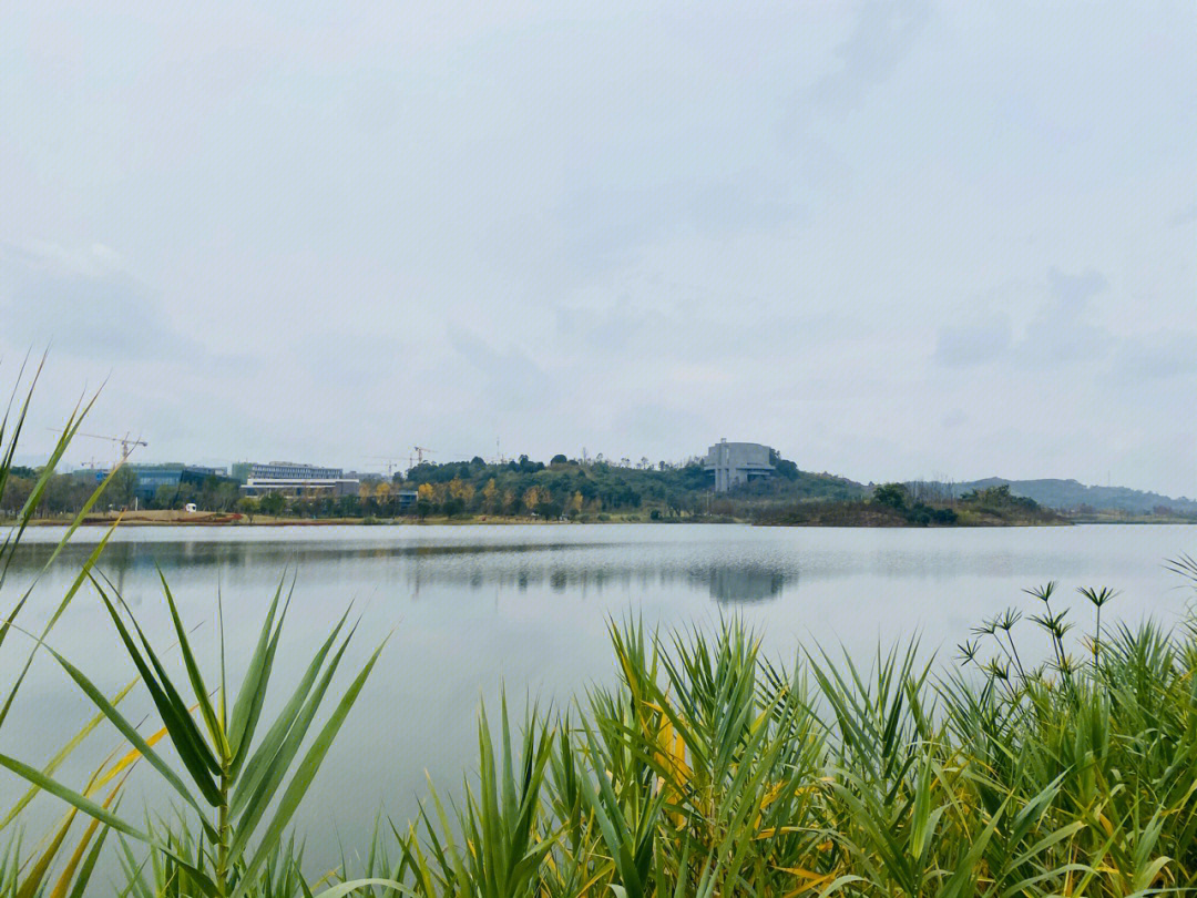 昆明明月湖景区图片