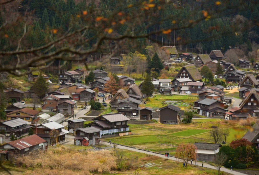 日本合掌村