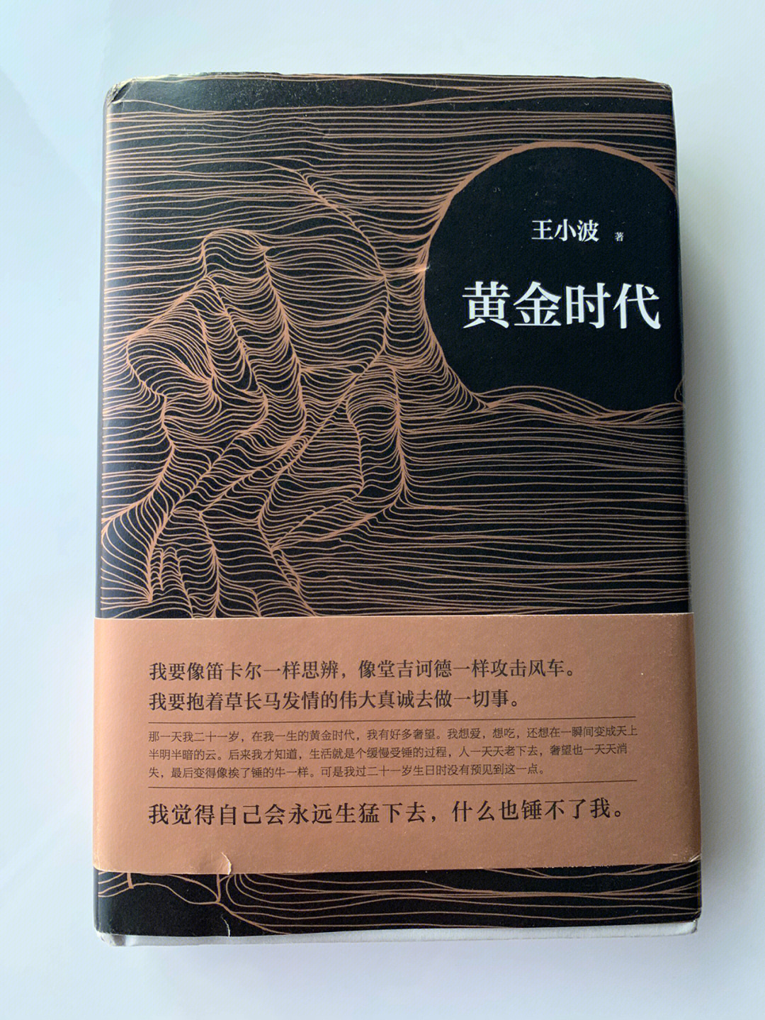 黄金时代王小波照片图片