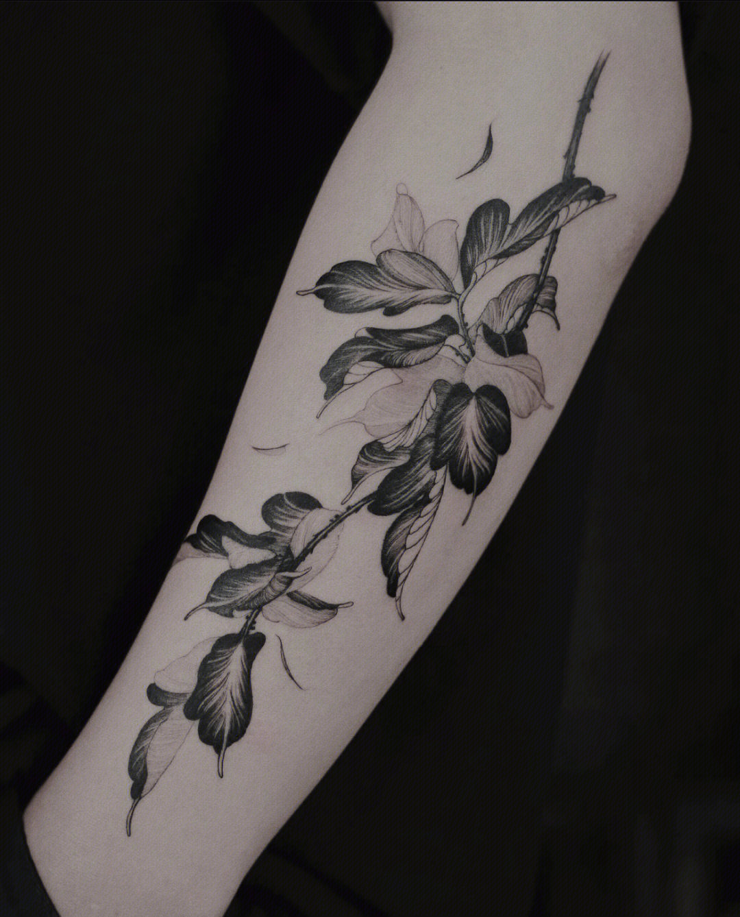 叶子缠绕手臂的纹身图片