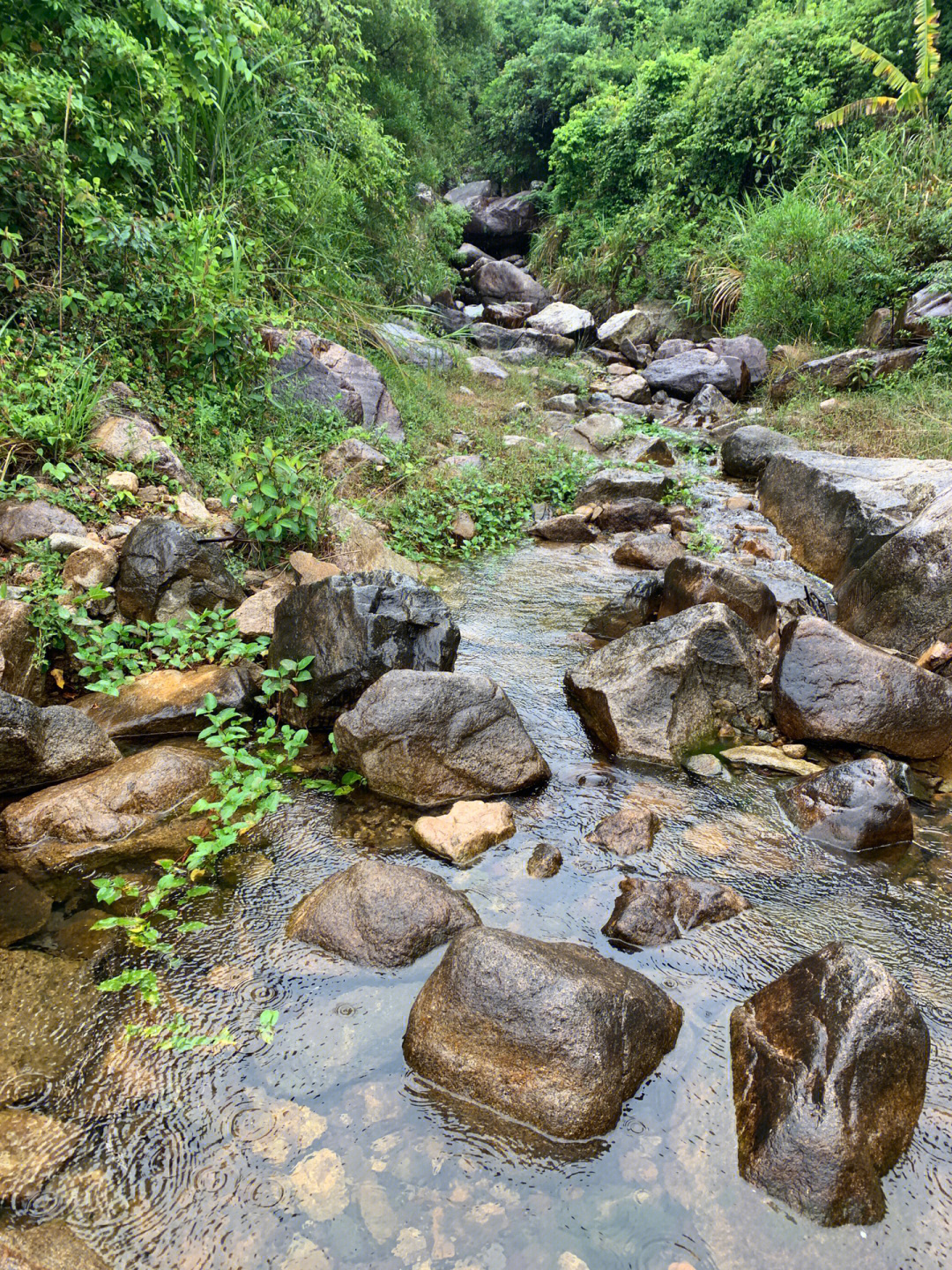 造水村流枫溪温泉图片