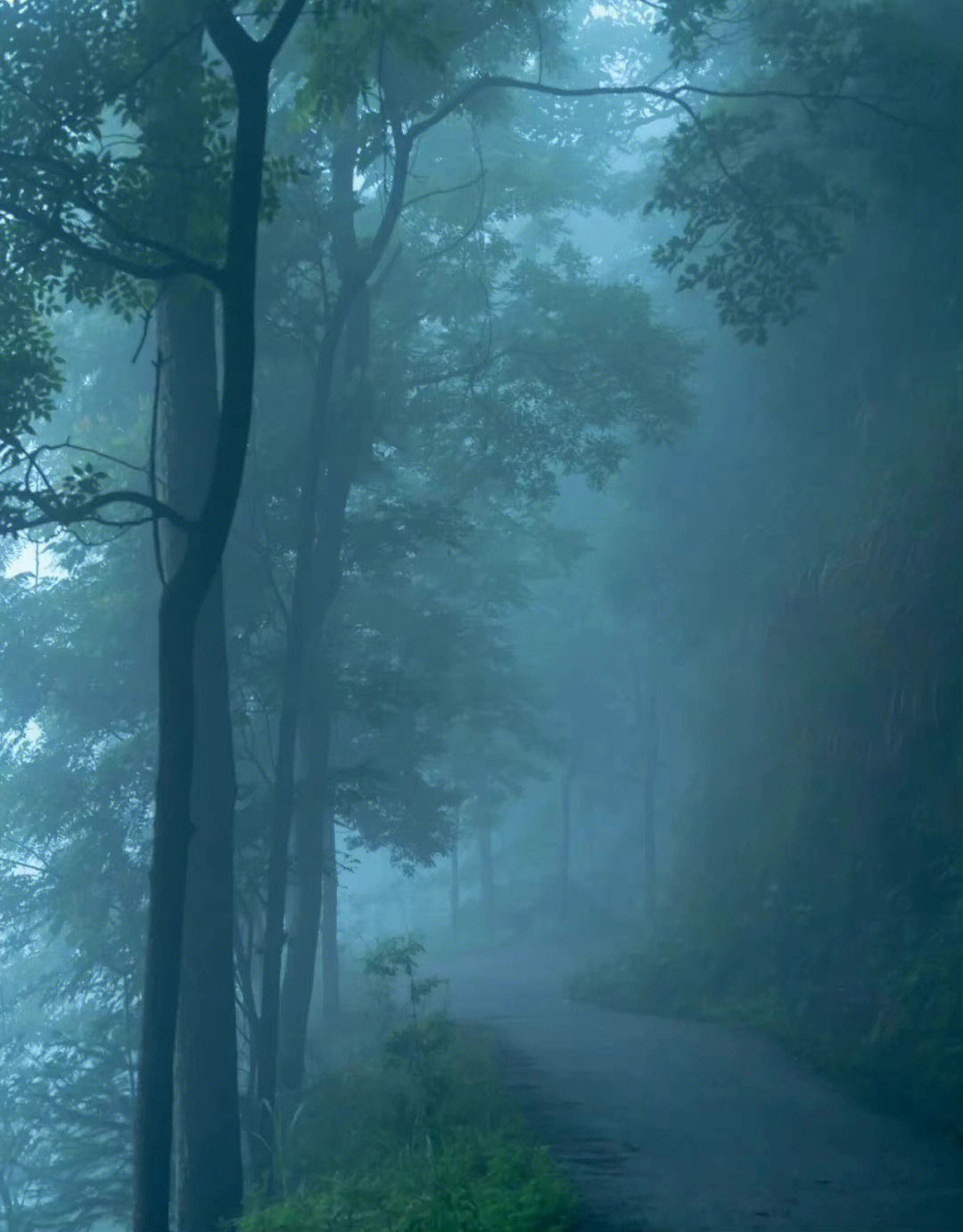 空山新雨后 意境图片