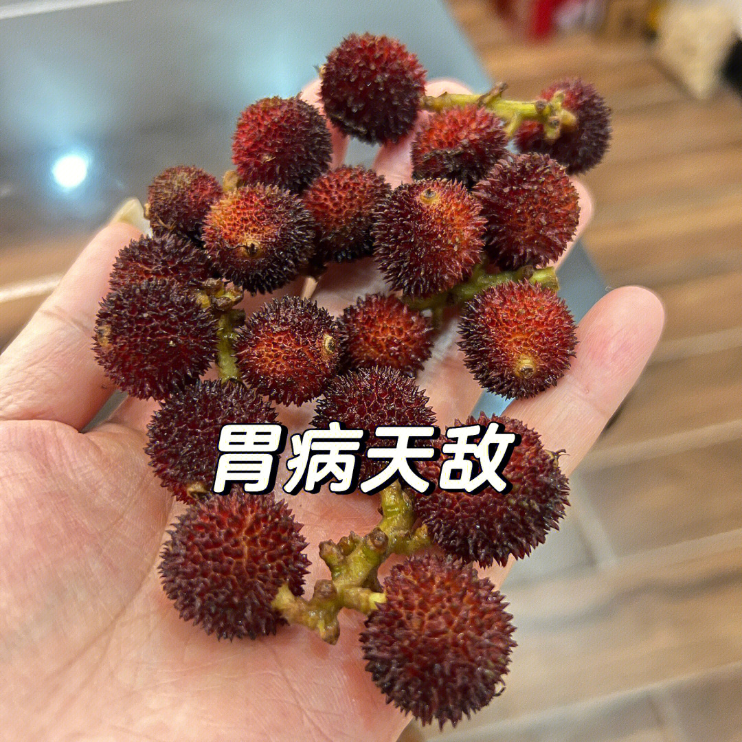 治胃病的草药图片名字图片