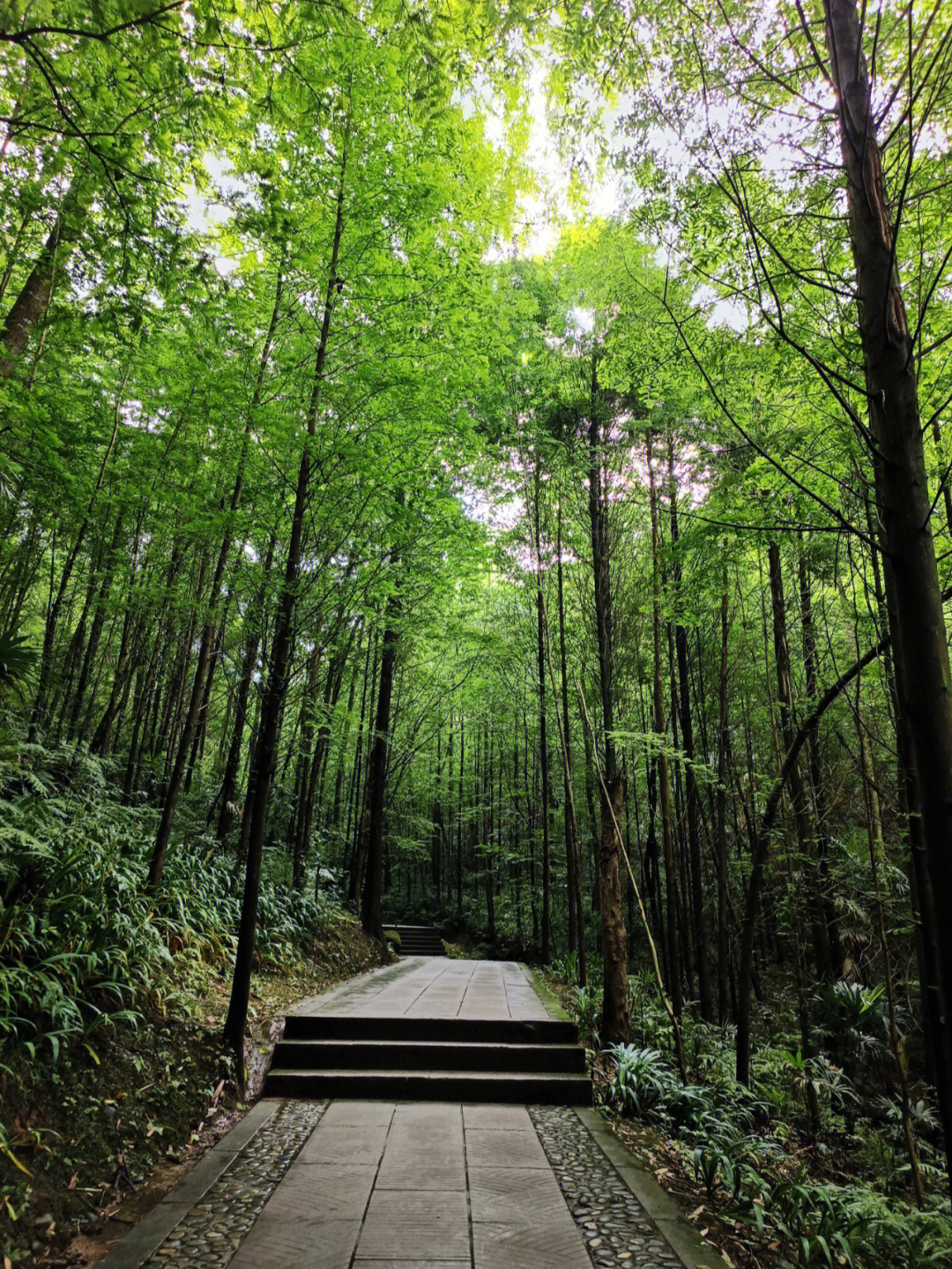 凤栖山风景区一日游图片