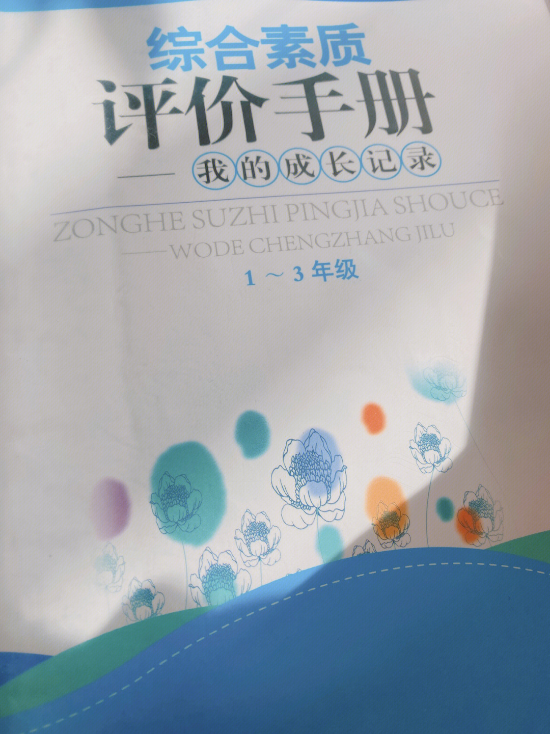 不知道谁发明的这个综合素质评价手册真的很想骂人…先不说内容有