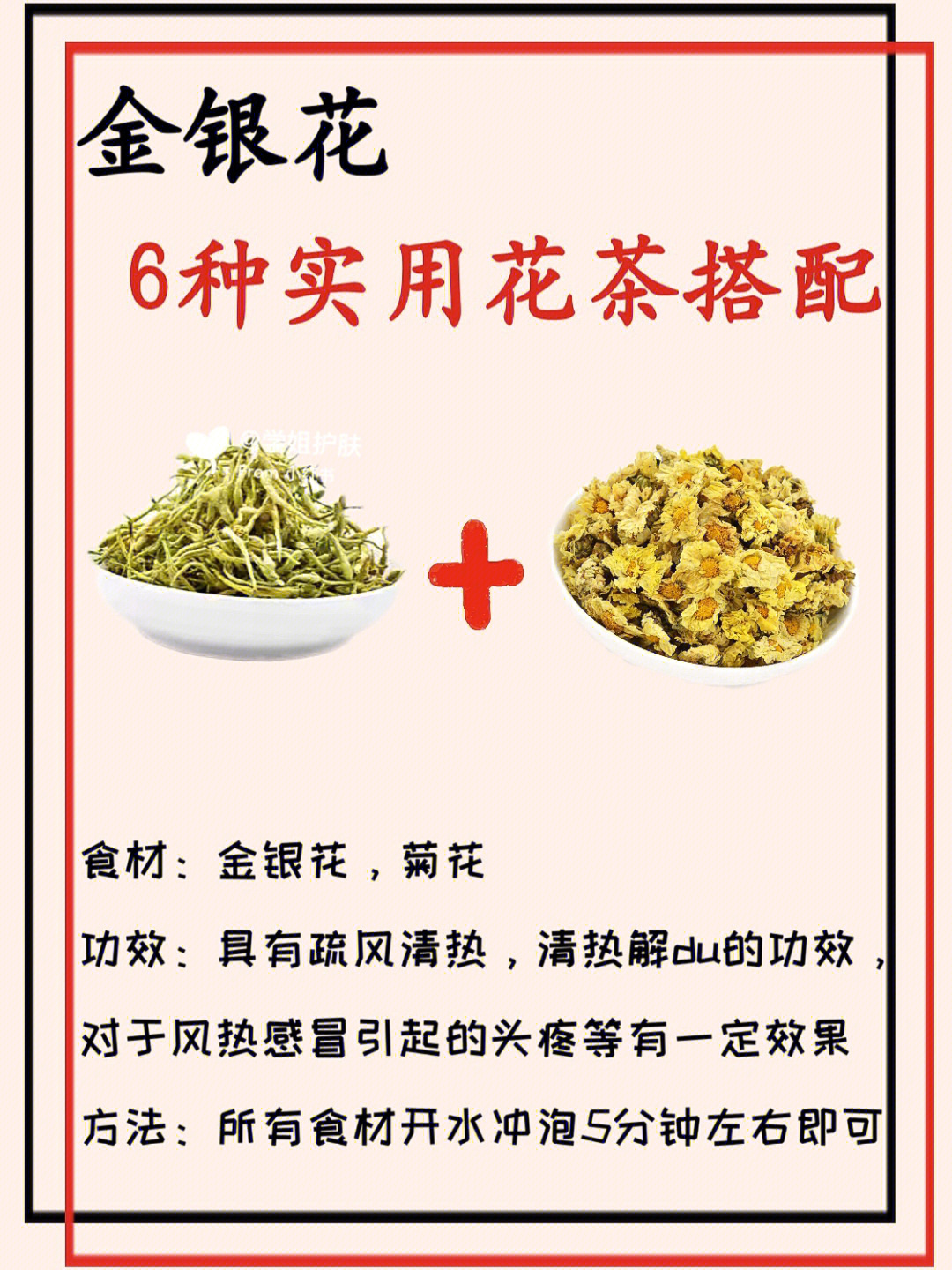 夏花茶26章图片