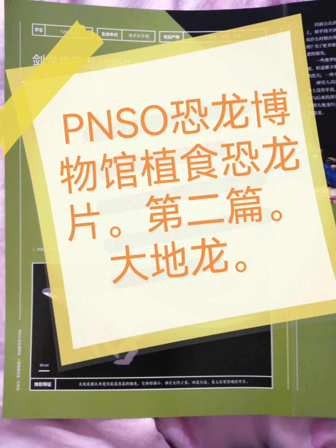 pnso恐龙博物馆目录图片