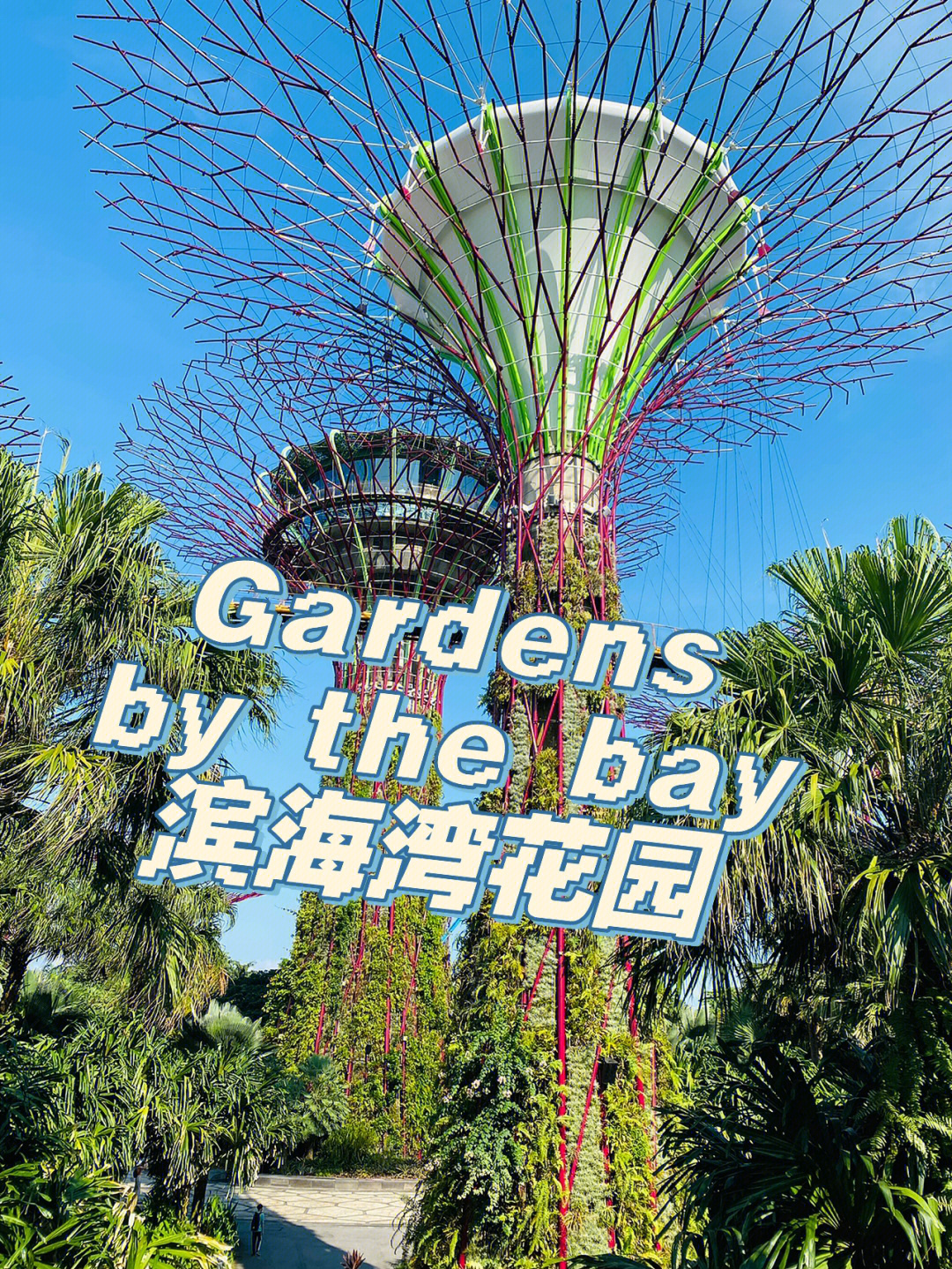 gardensbythebay滨海湾花园