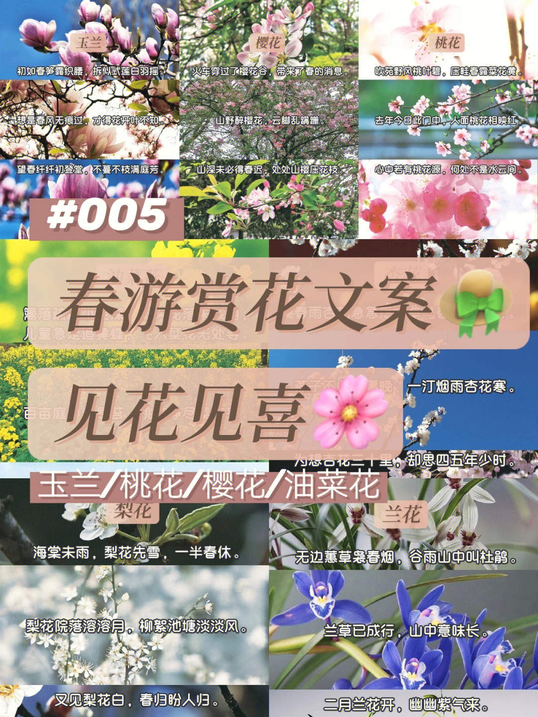 春游赏花文案春日出游见花见喜