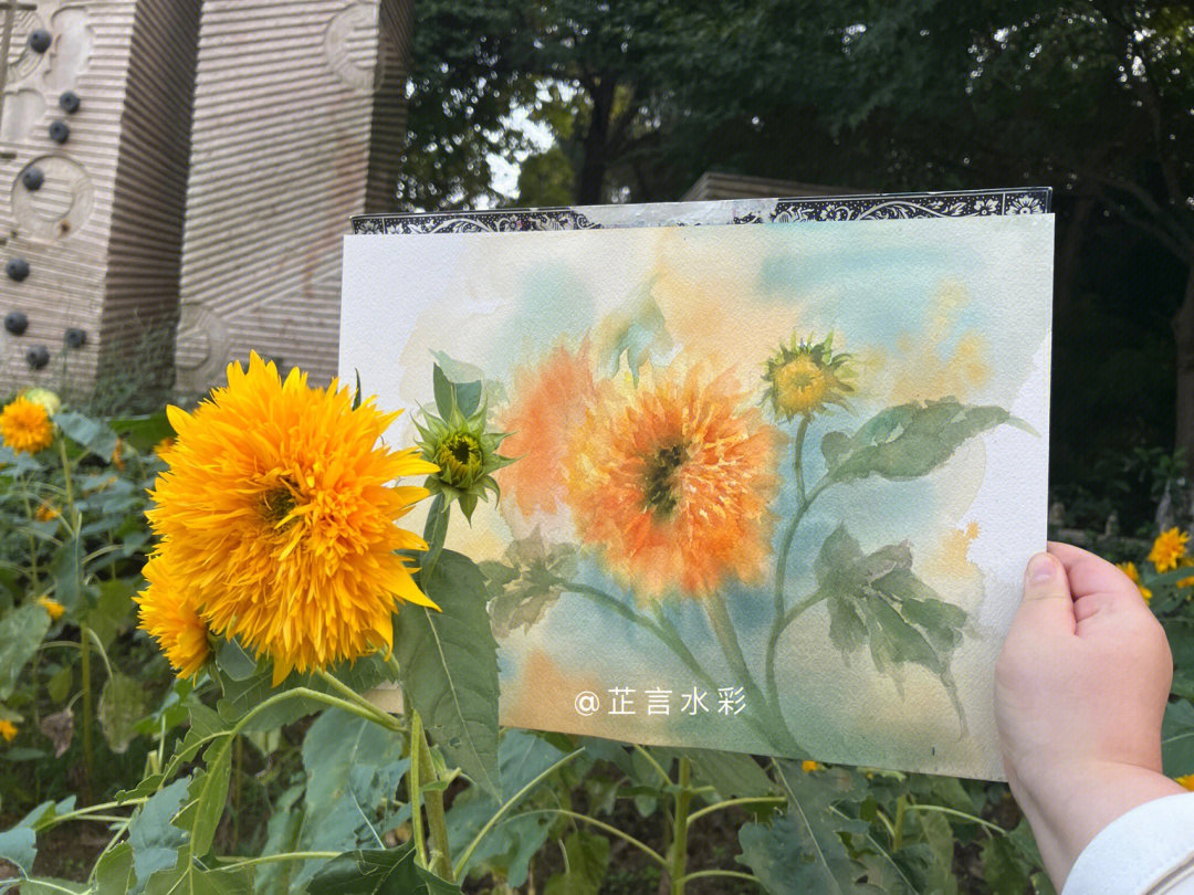向日葵的水彩画法步骤图片