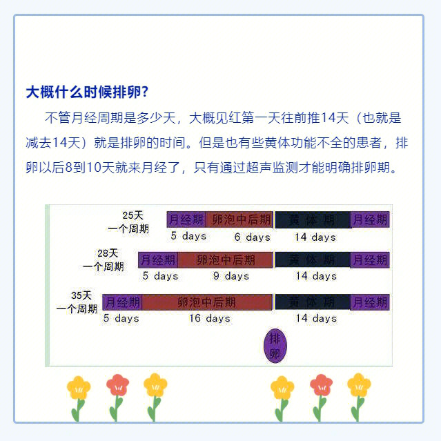 试管的用途和注意事项图片