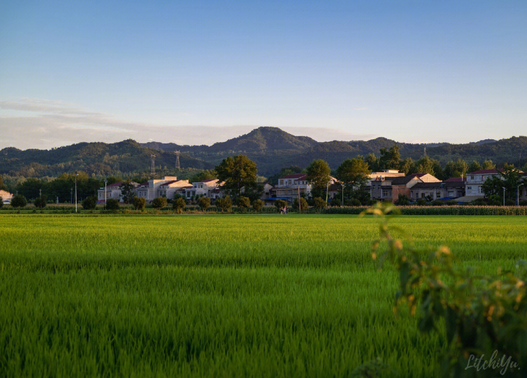 安宁的夏日田野