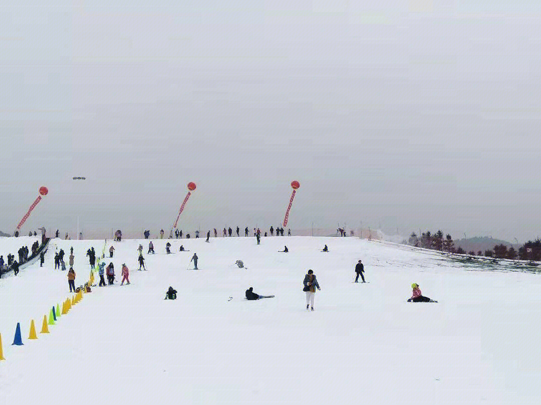 德州滑雪场图片