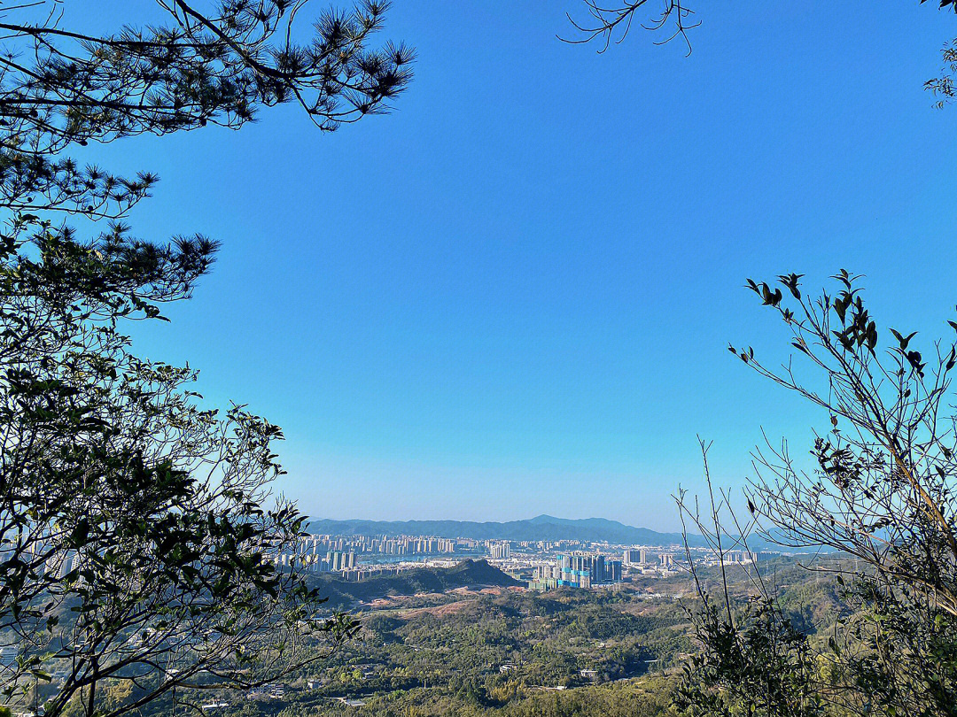 河源梧桐山公园图片