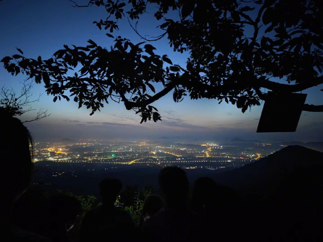 紫金山日出