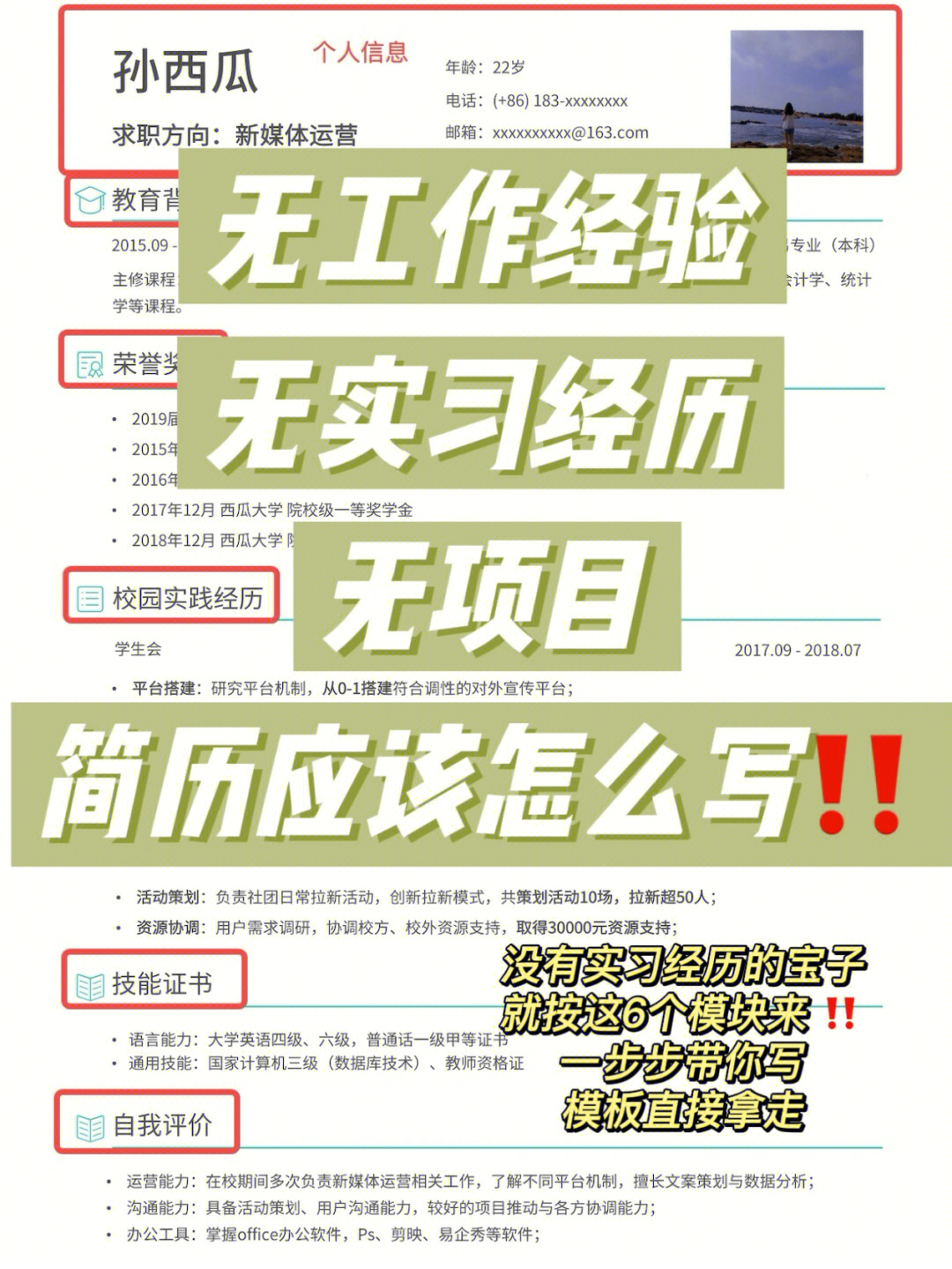 大学教育经历怎么写图片