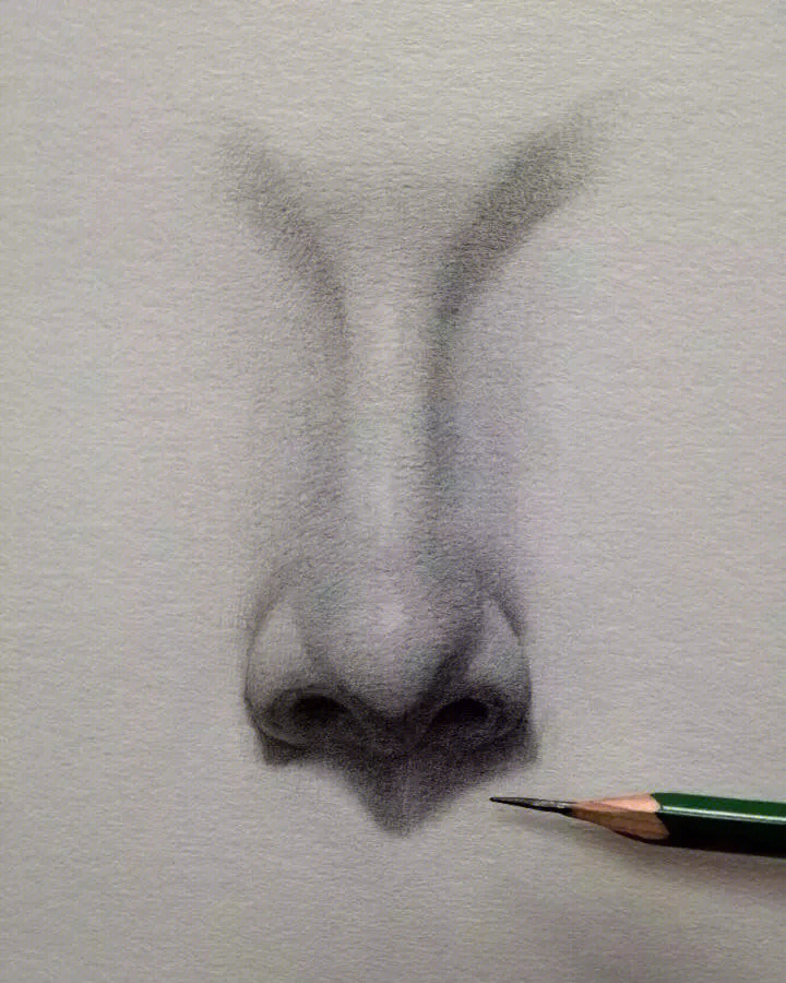 鼻子正面素描图片