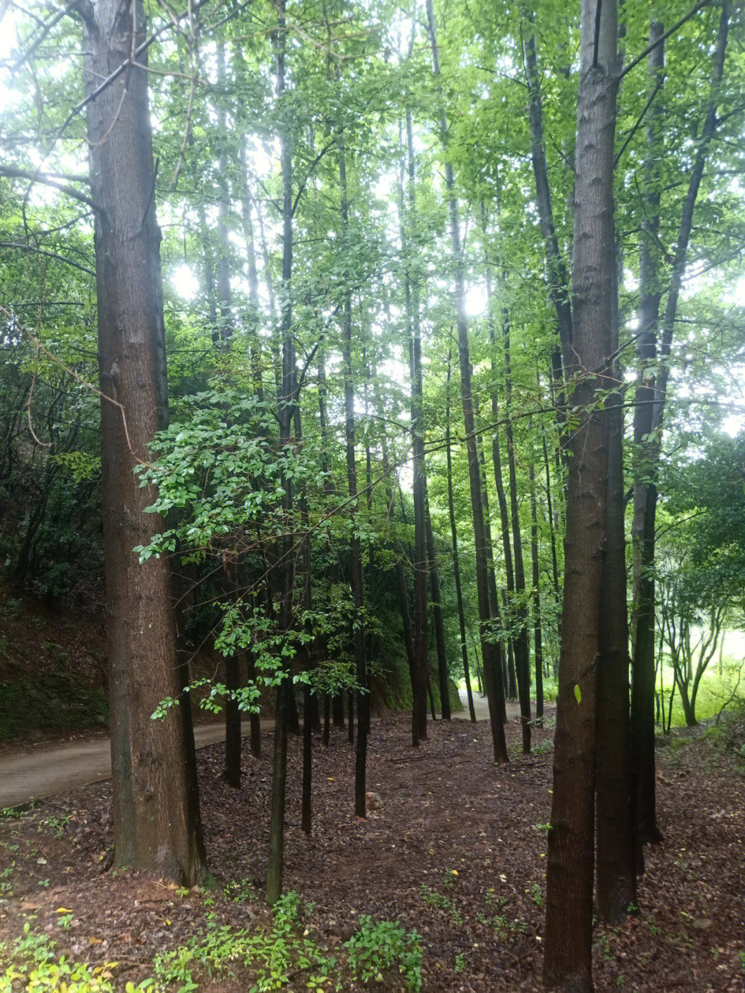 地址就在五华区西翥街道办事处桃园大村红石岩水库旁水云涧山庄,高德