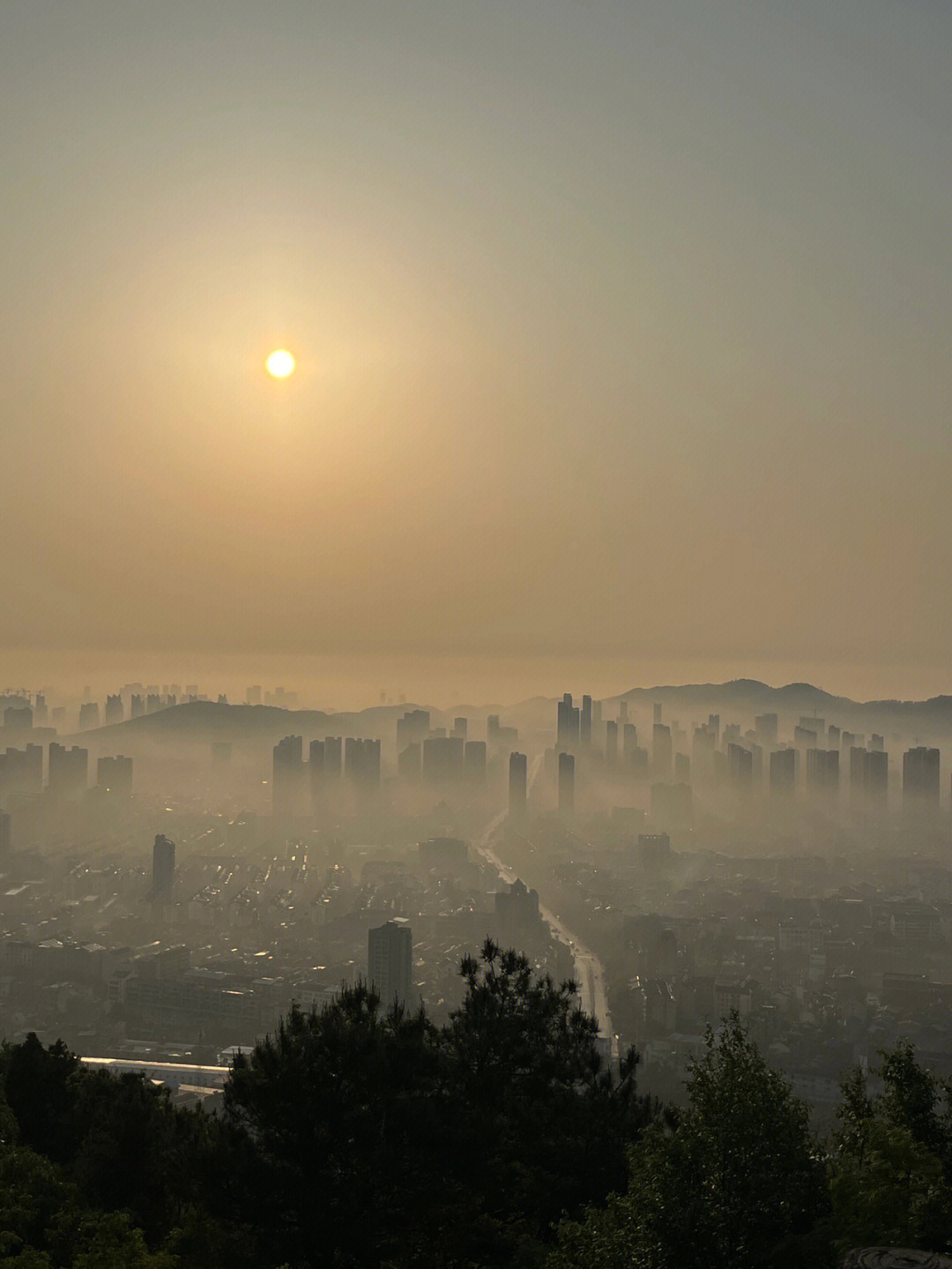 八分山日出图片