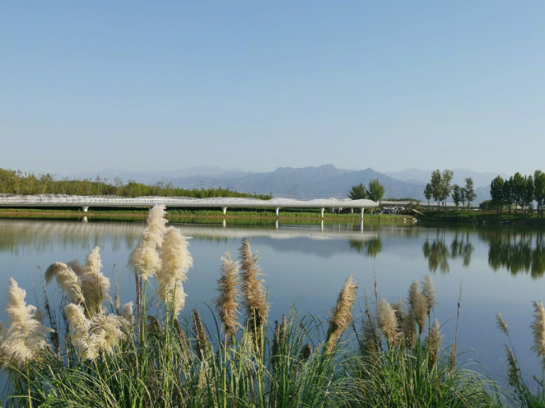 仪祉湖位于梁家滩南边属于沣河和潏(jue)河交界处很大,景区入口因为