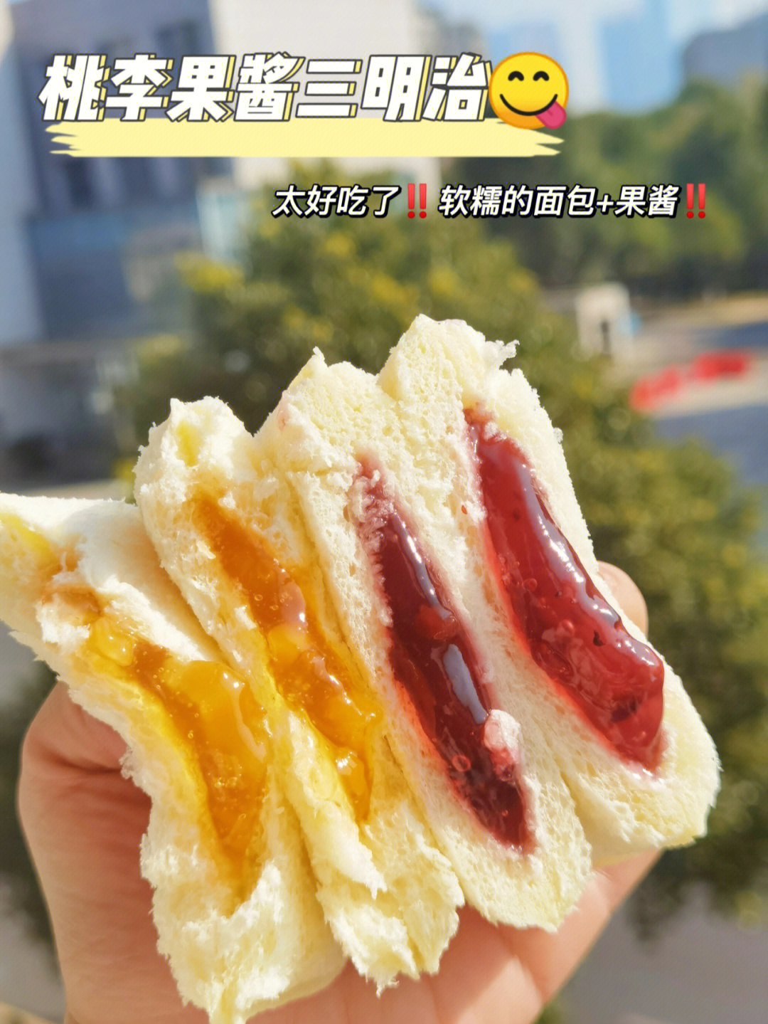 桃李三明治面包白桃图片